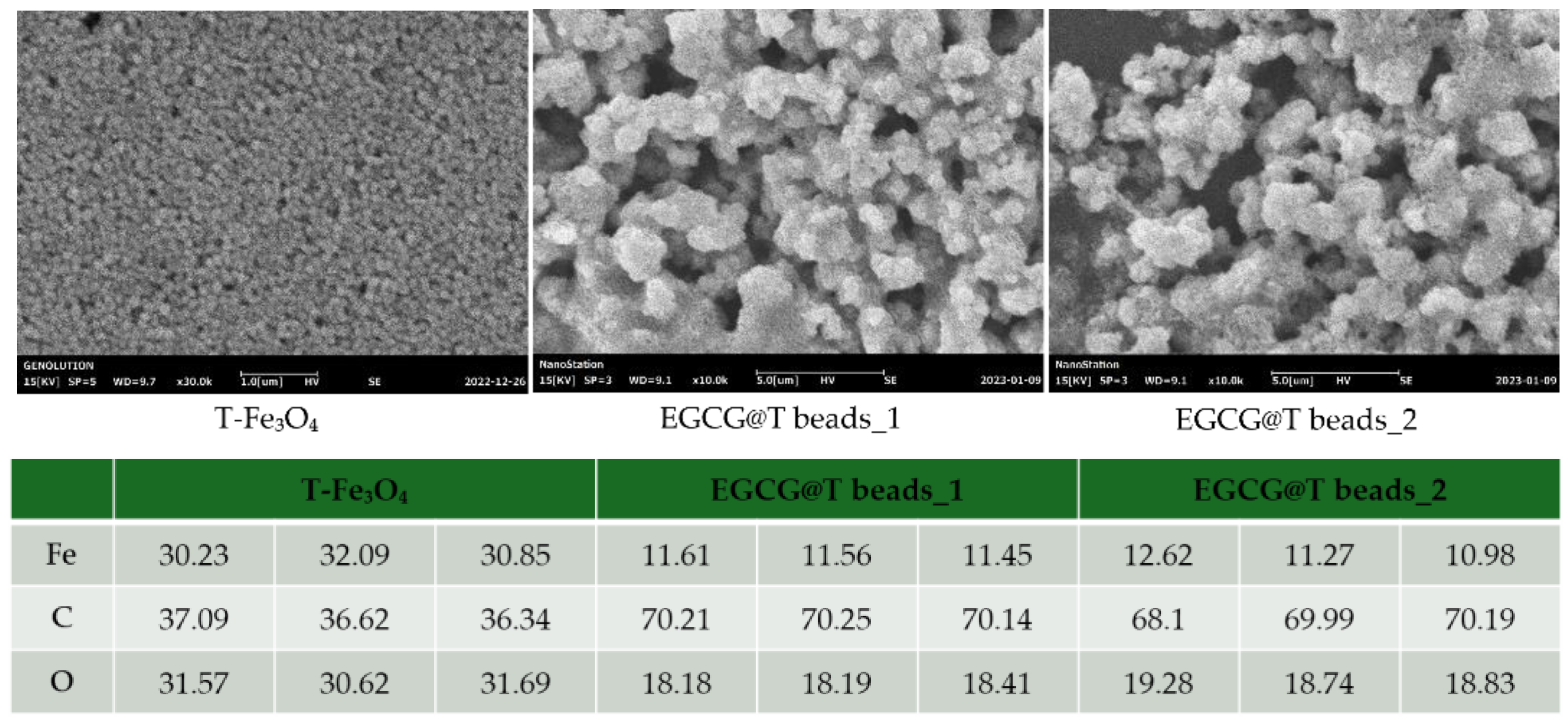 Applsci 15 06170 g001