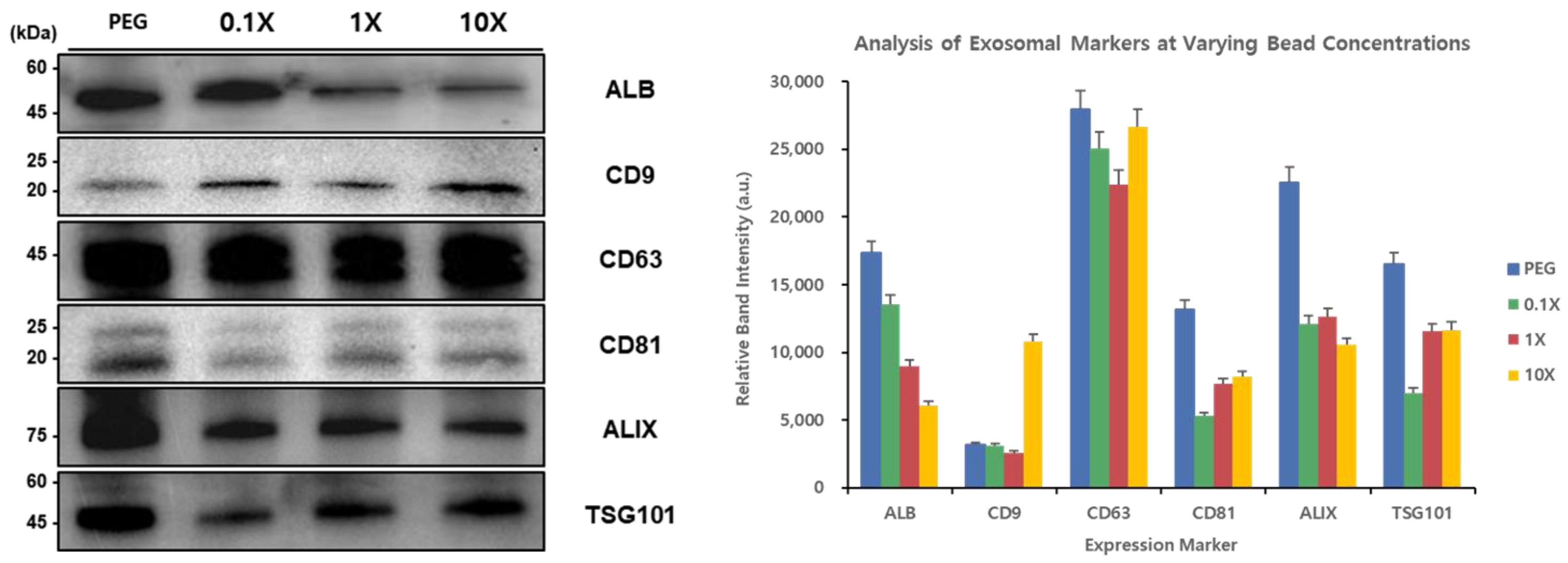 Applsci 15 06170 g005