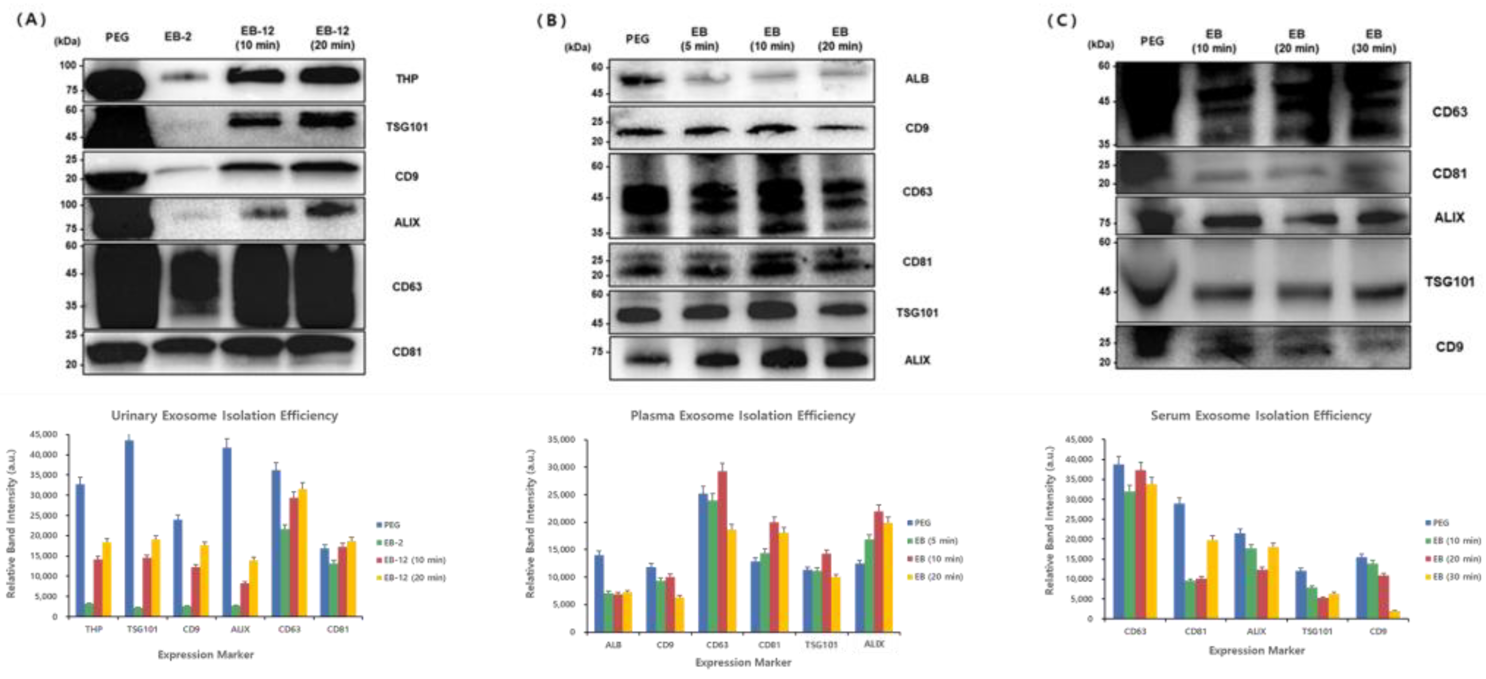 Applsci 15 06170 g006