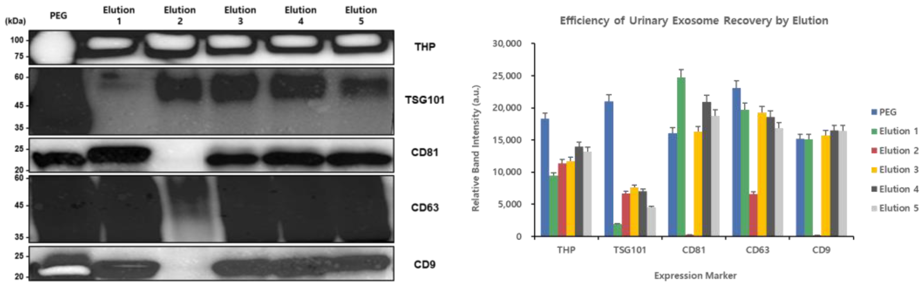 Applsci 15 06170 g007