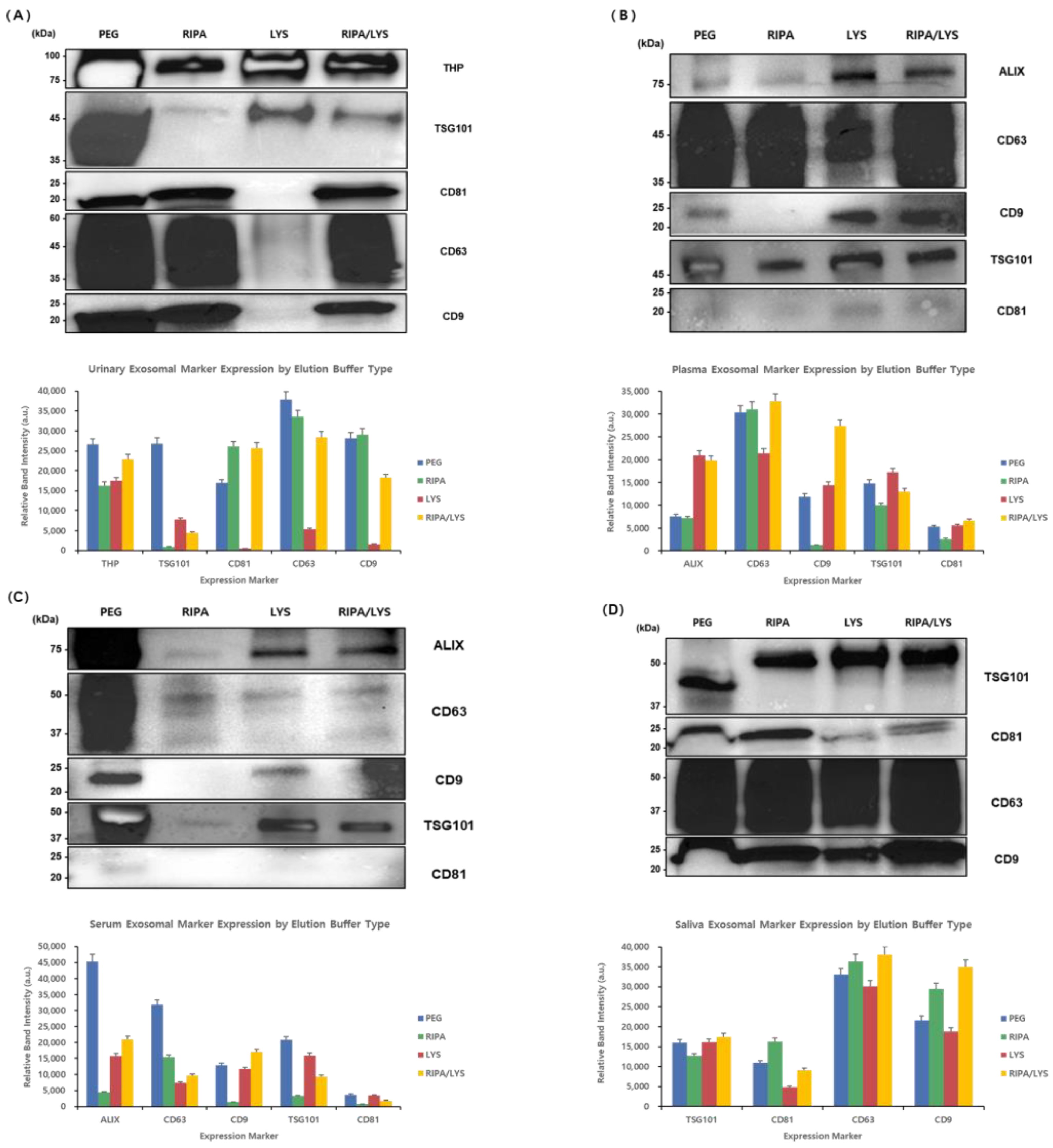 Applsci 15 06170 g008
