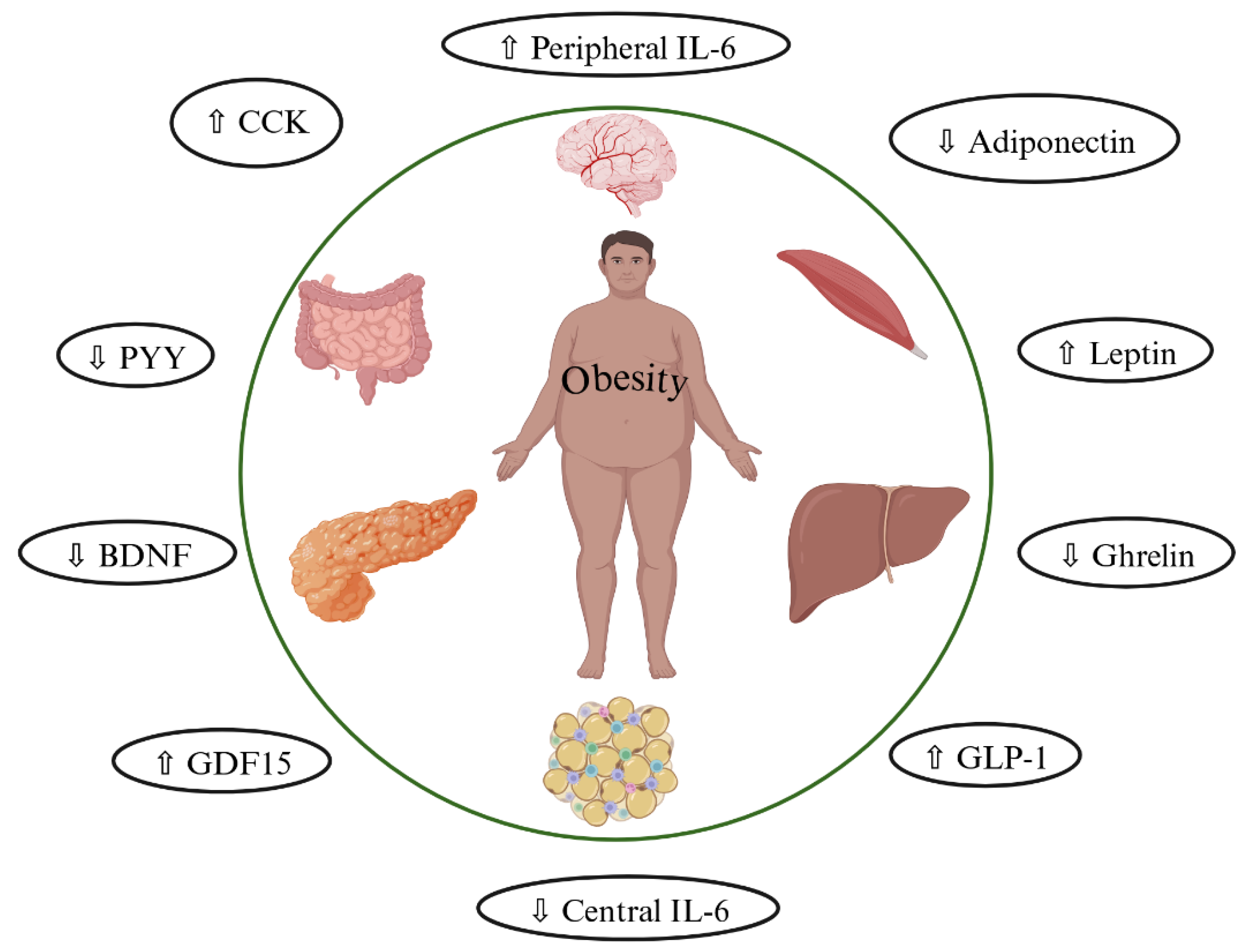 Applsci 15 06191 g001