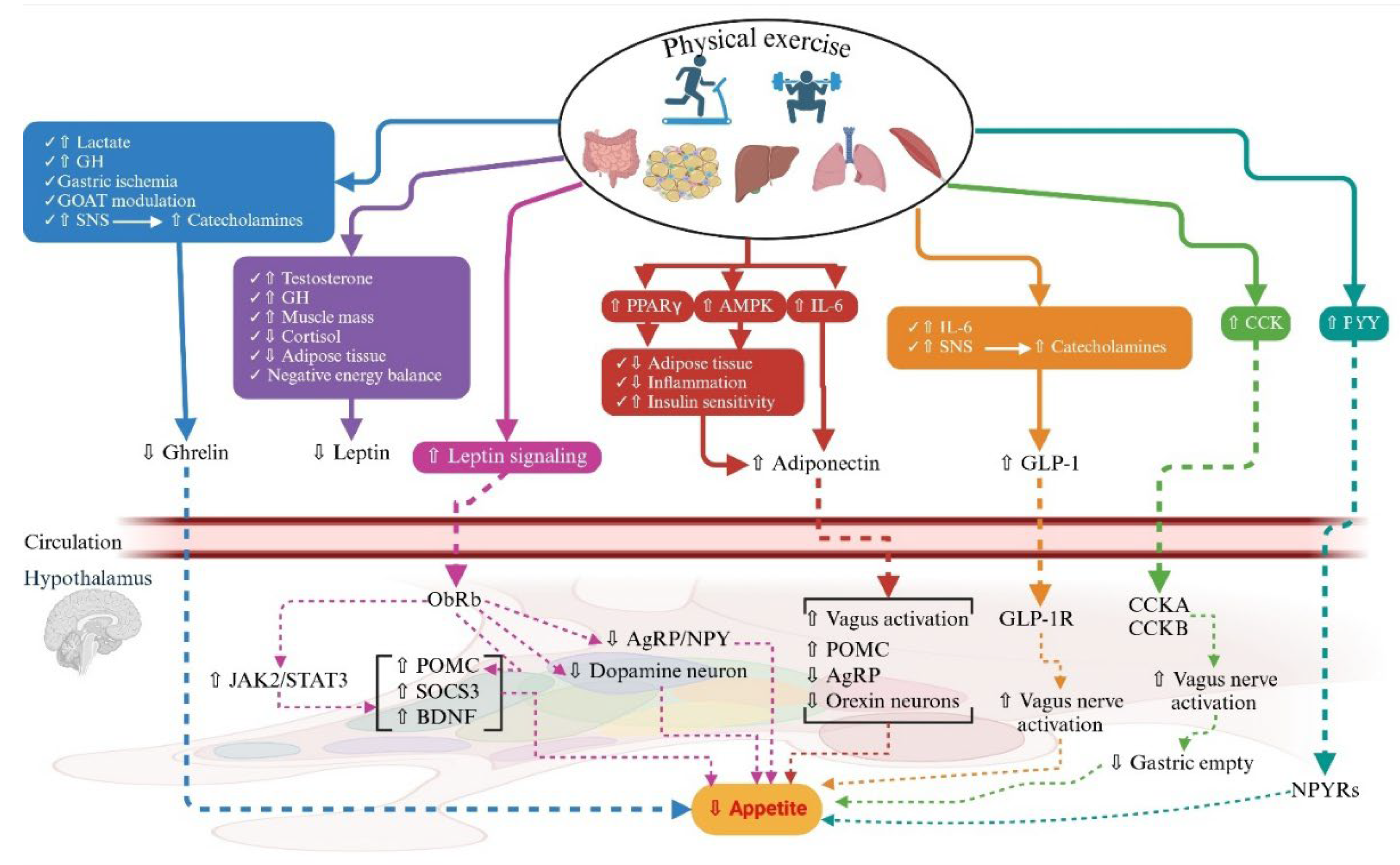 Applsci 15 06191 g002