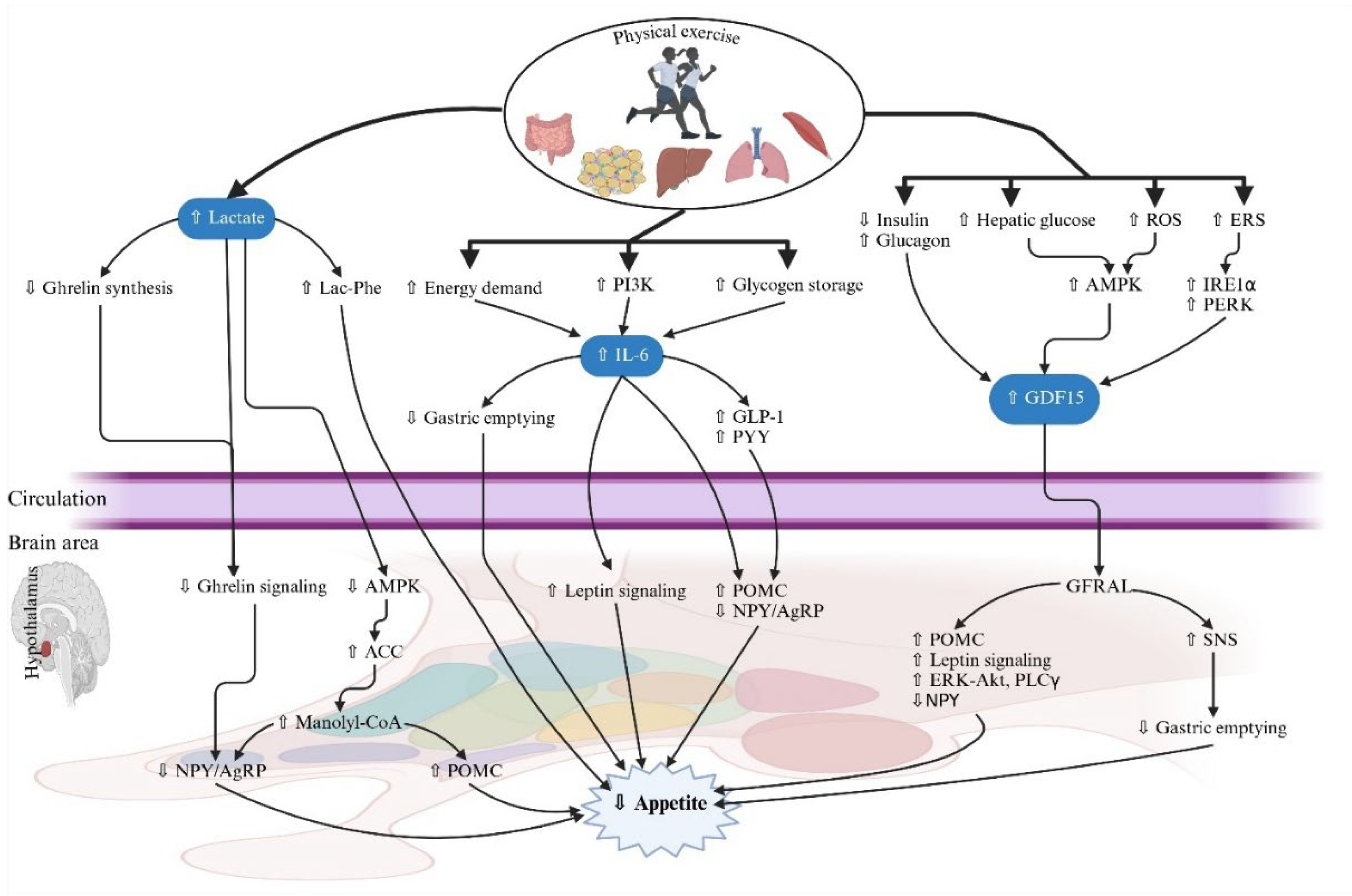 Applsci 15 06191 g003