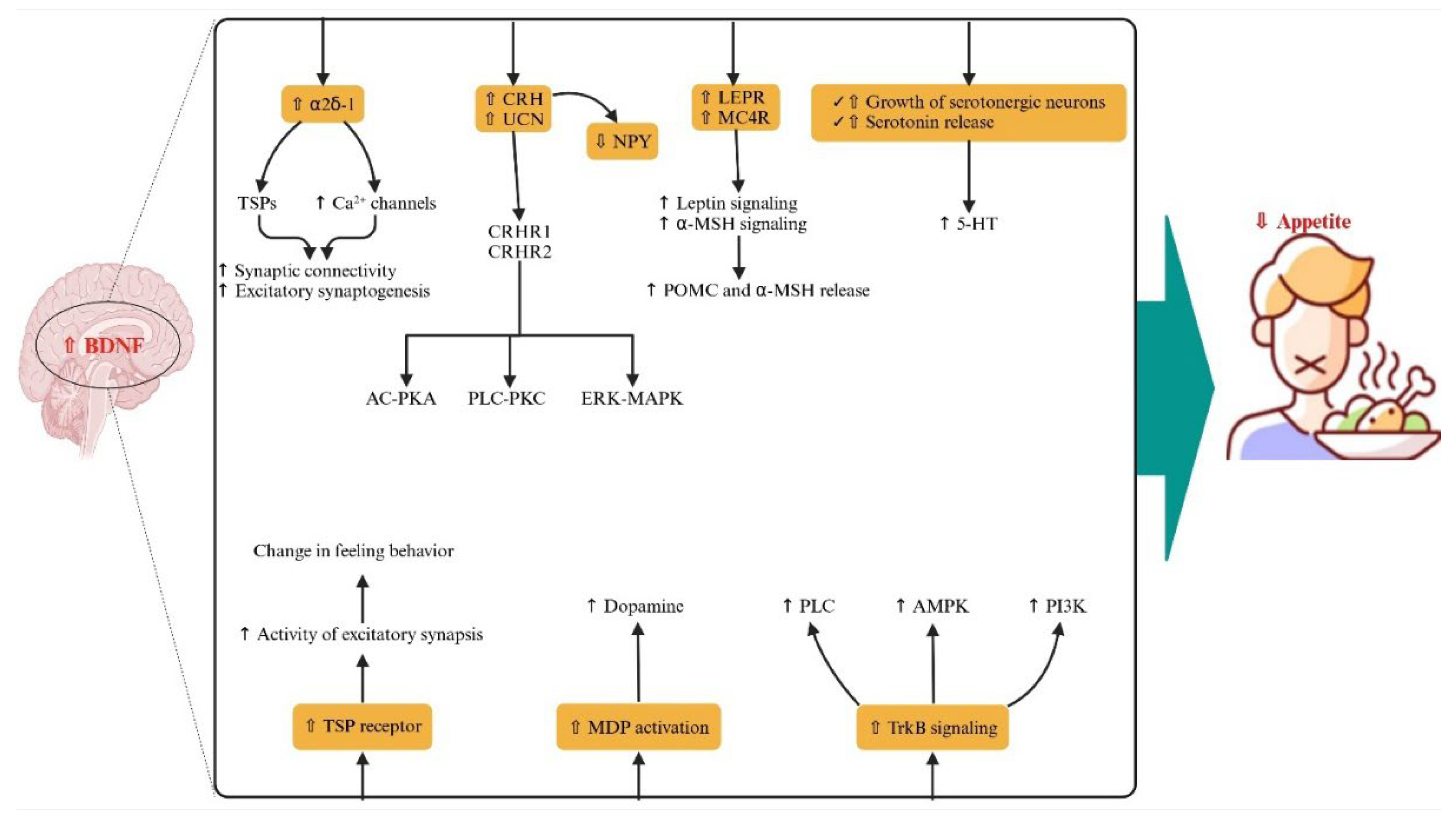 Applsci 15 06191 g005