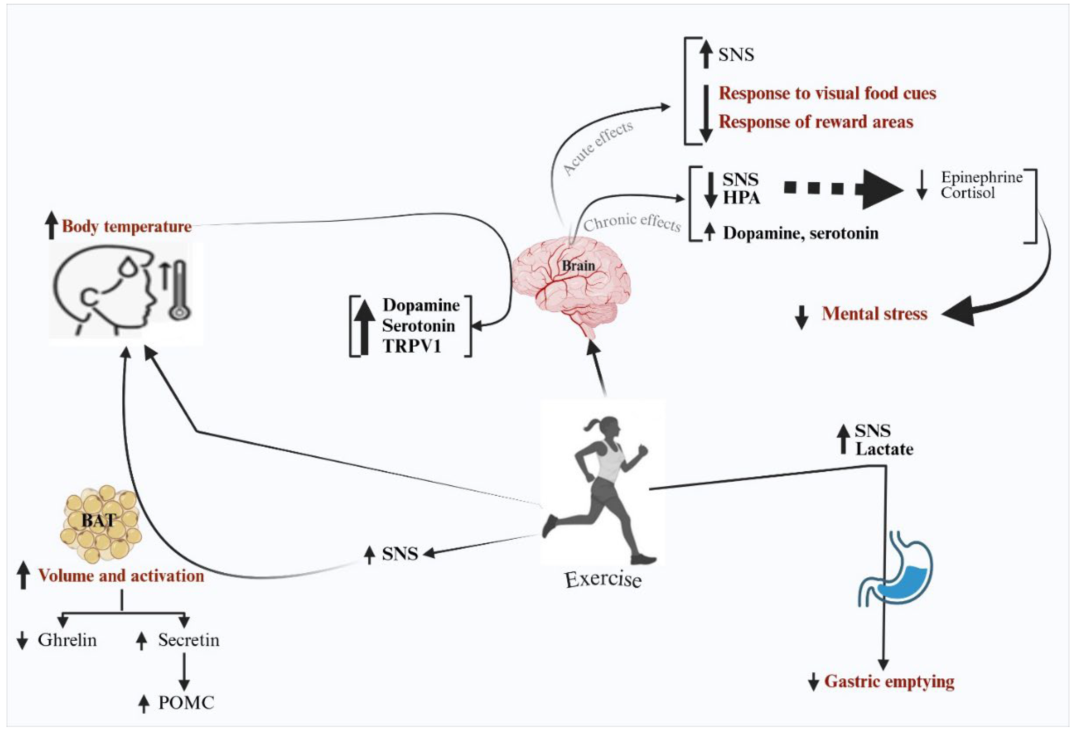 Applsci 15 06191 g006