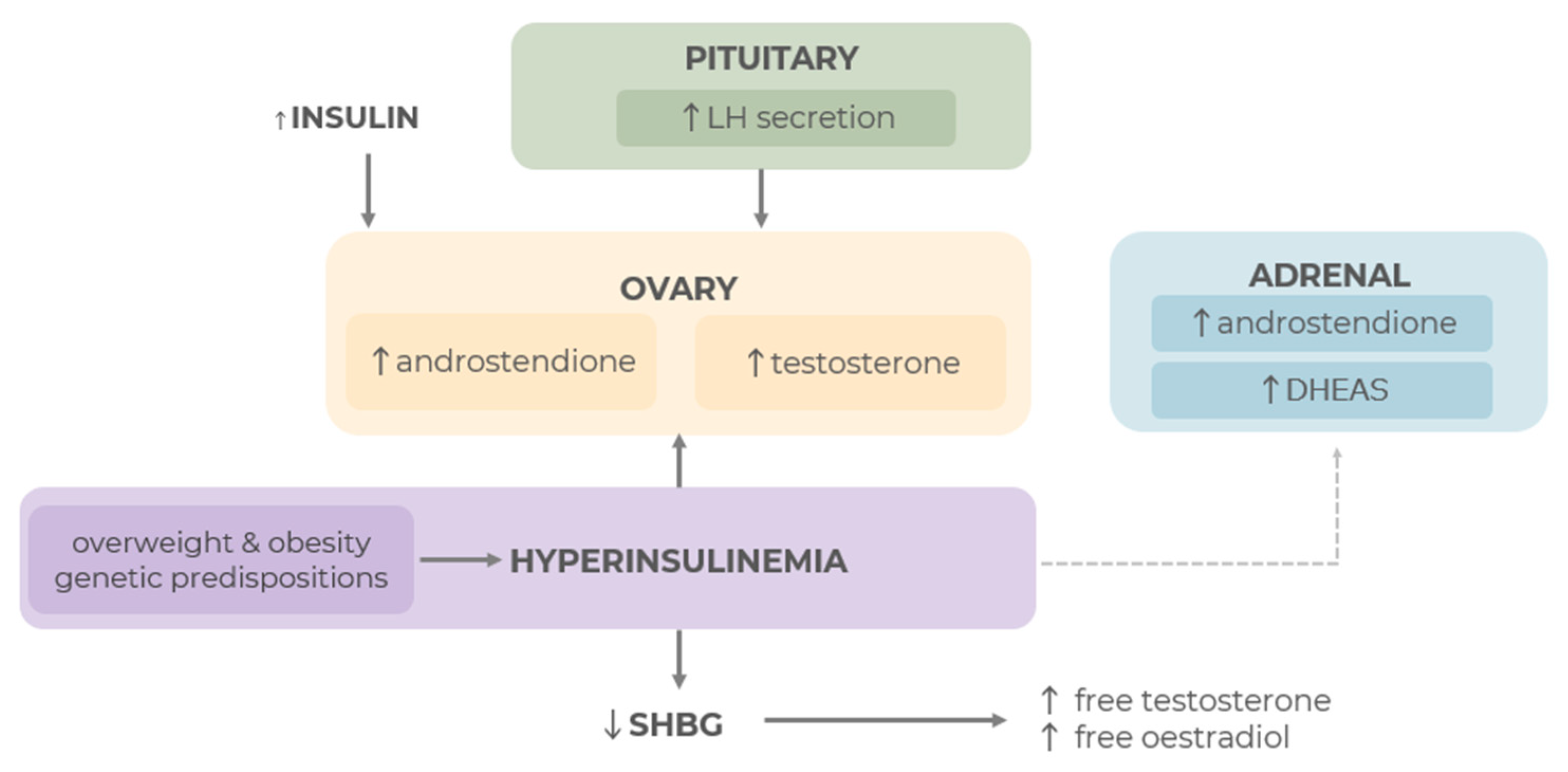 Applsci 15 06198 g005 Applsci 15 06198 g005