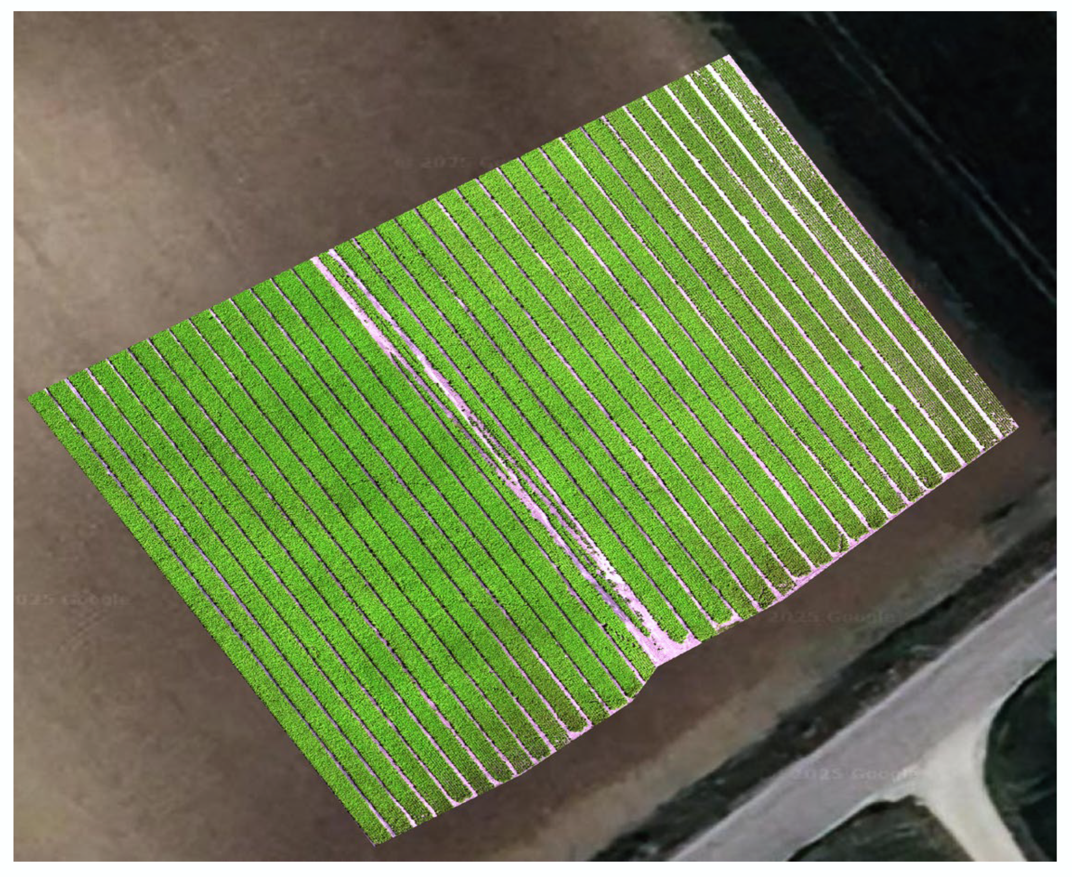 Applsci 15 06227 g001