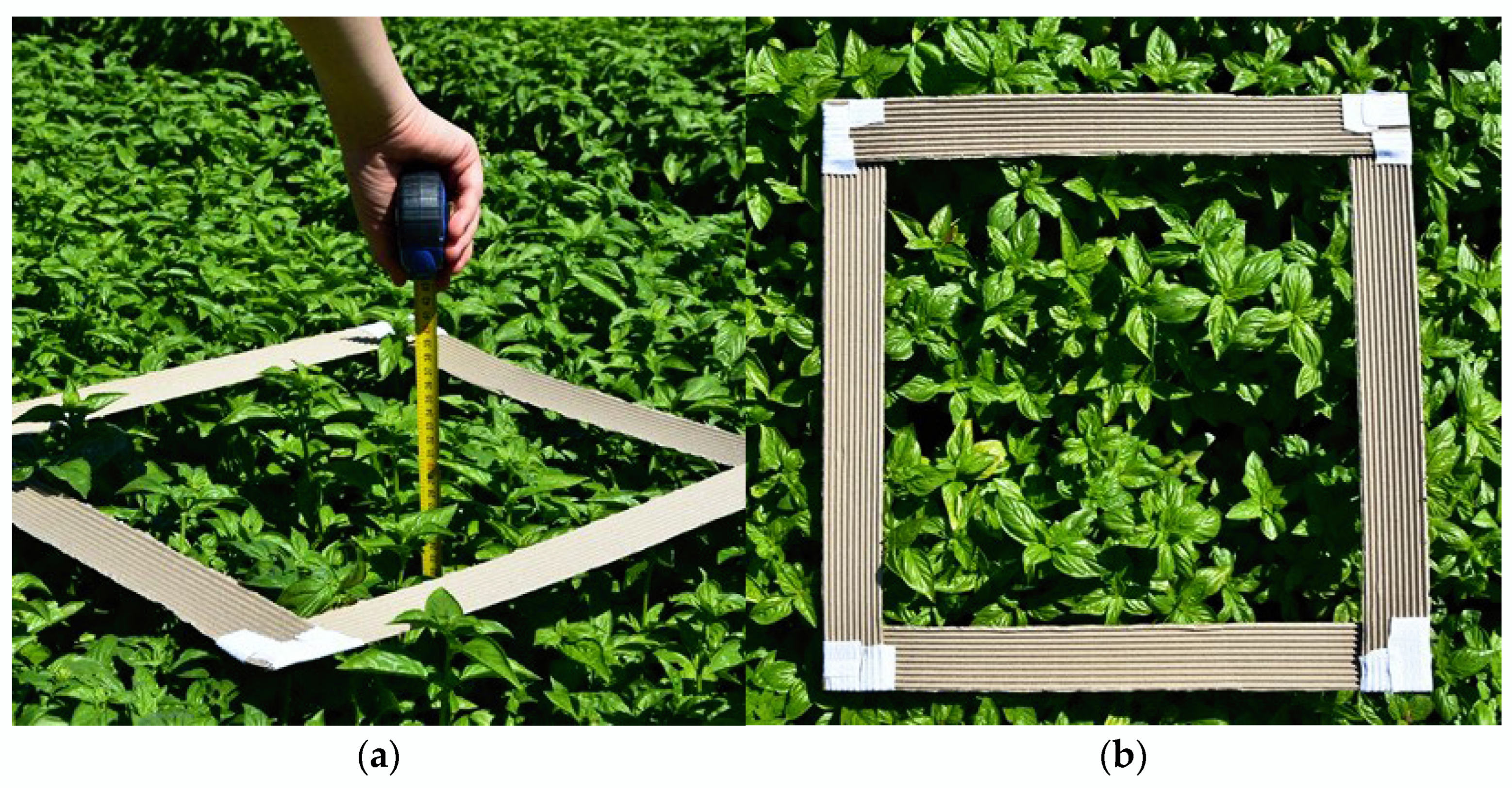 Applsci 15 06227 g003