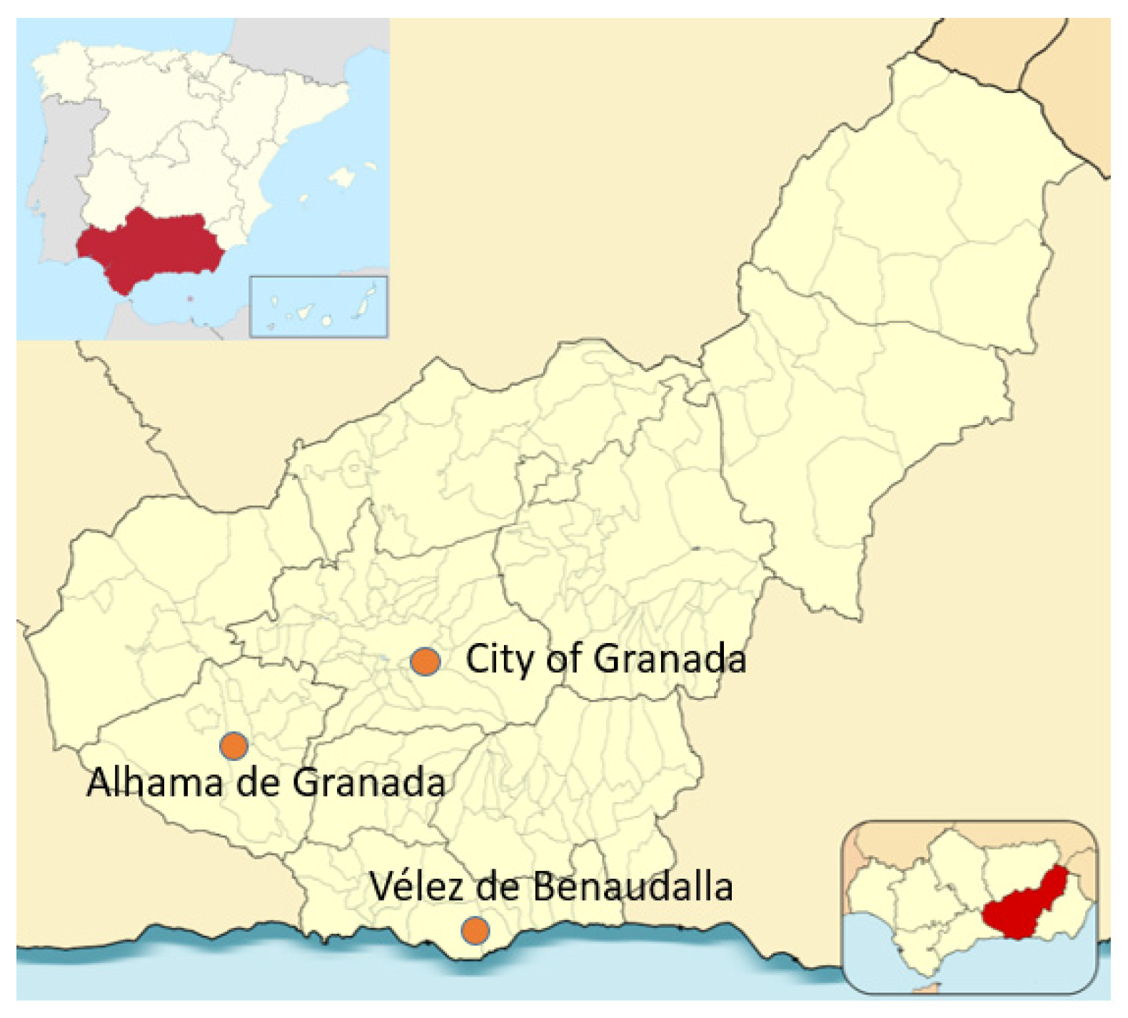 Applsci 15 06232 g001