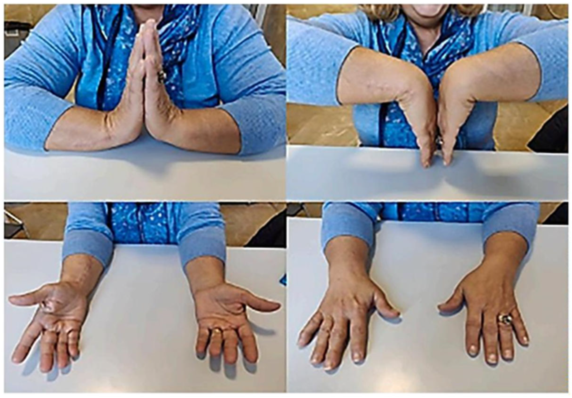 Applsci 15 06235 g003