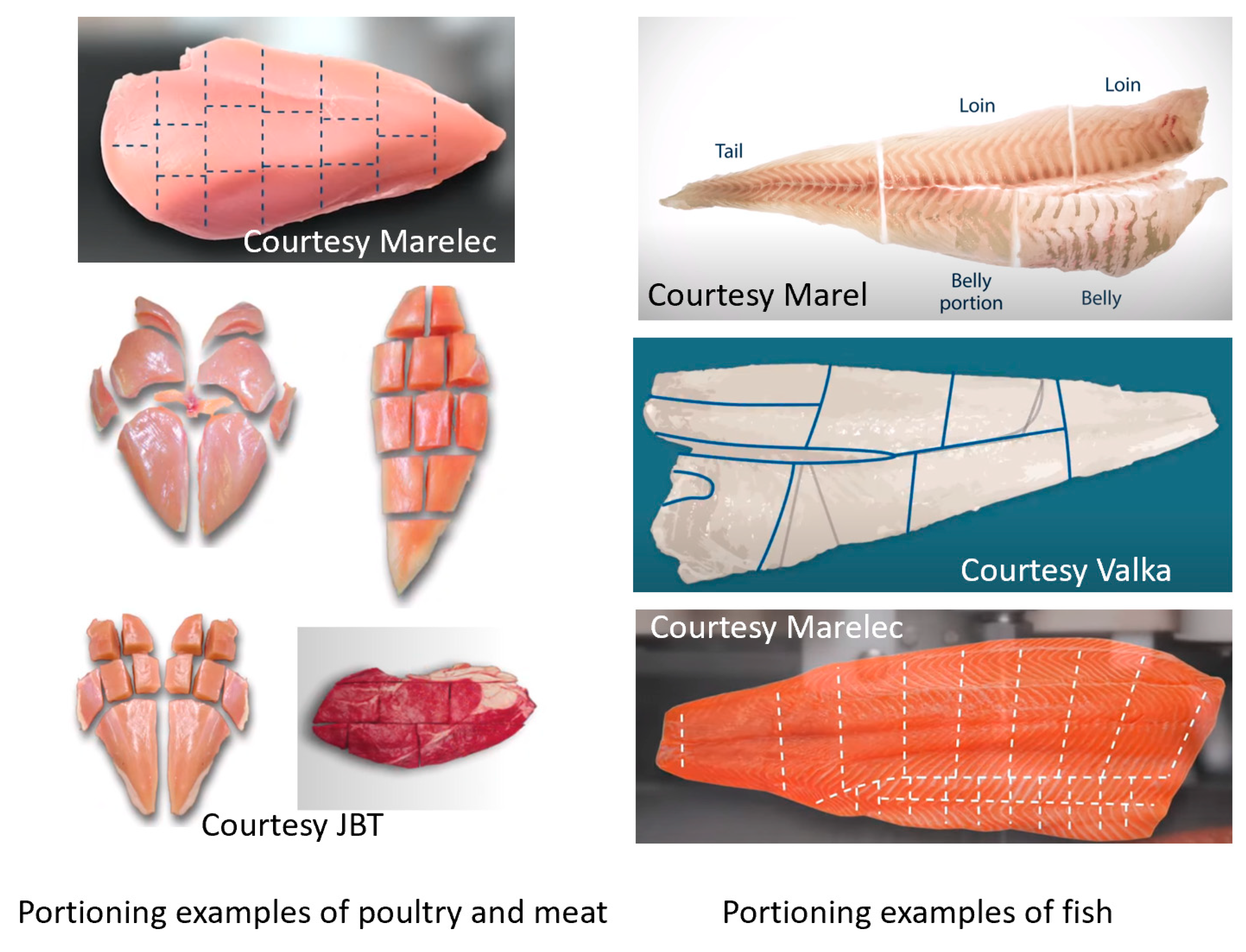 Applsci 15 06246 g016