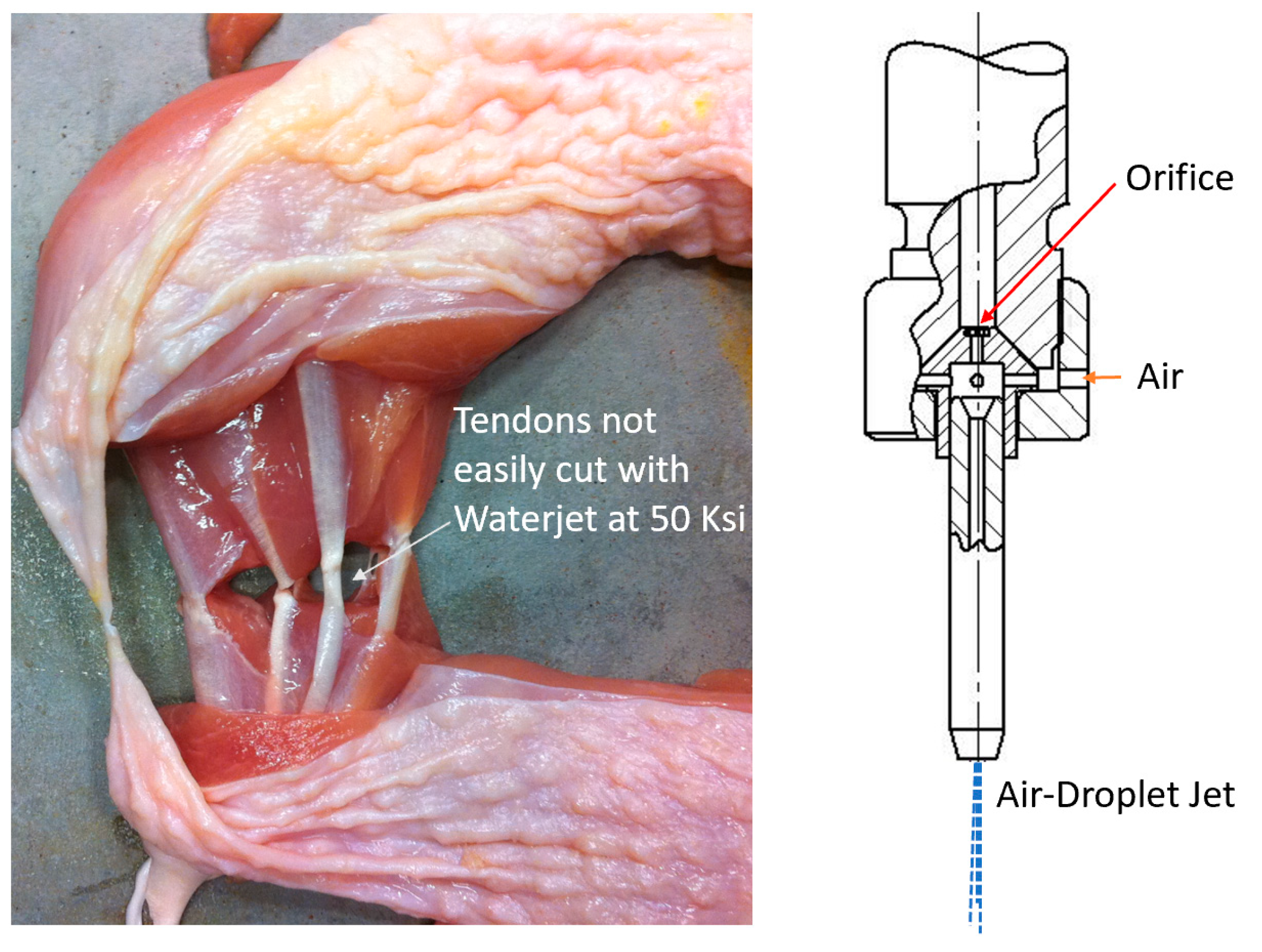 Applsci 15 06246 g019