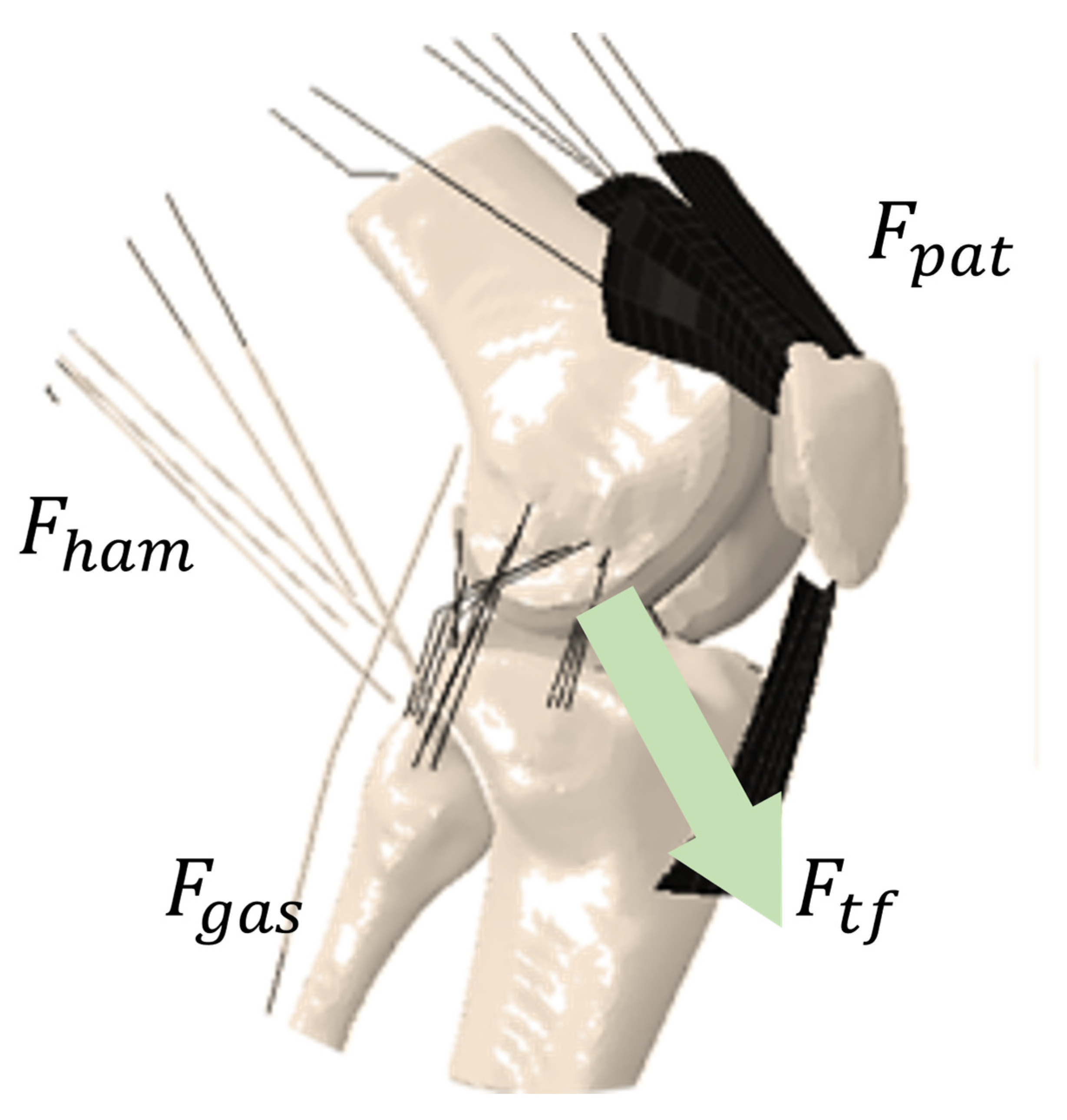 Applsci 15 06265 g005 Applsci 15 06265 g005