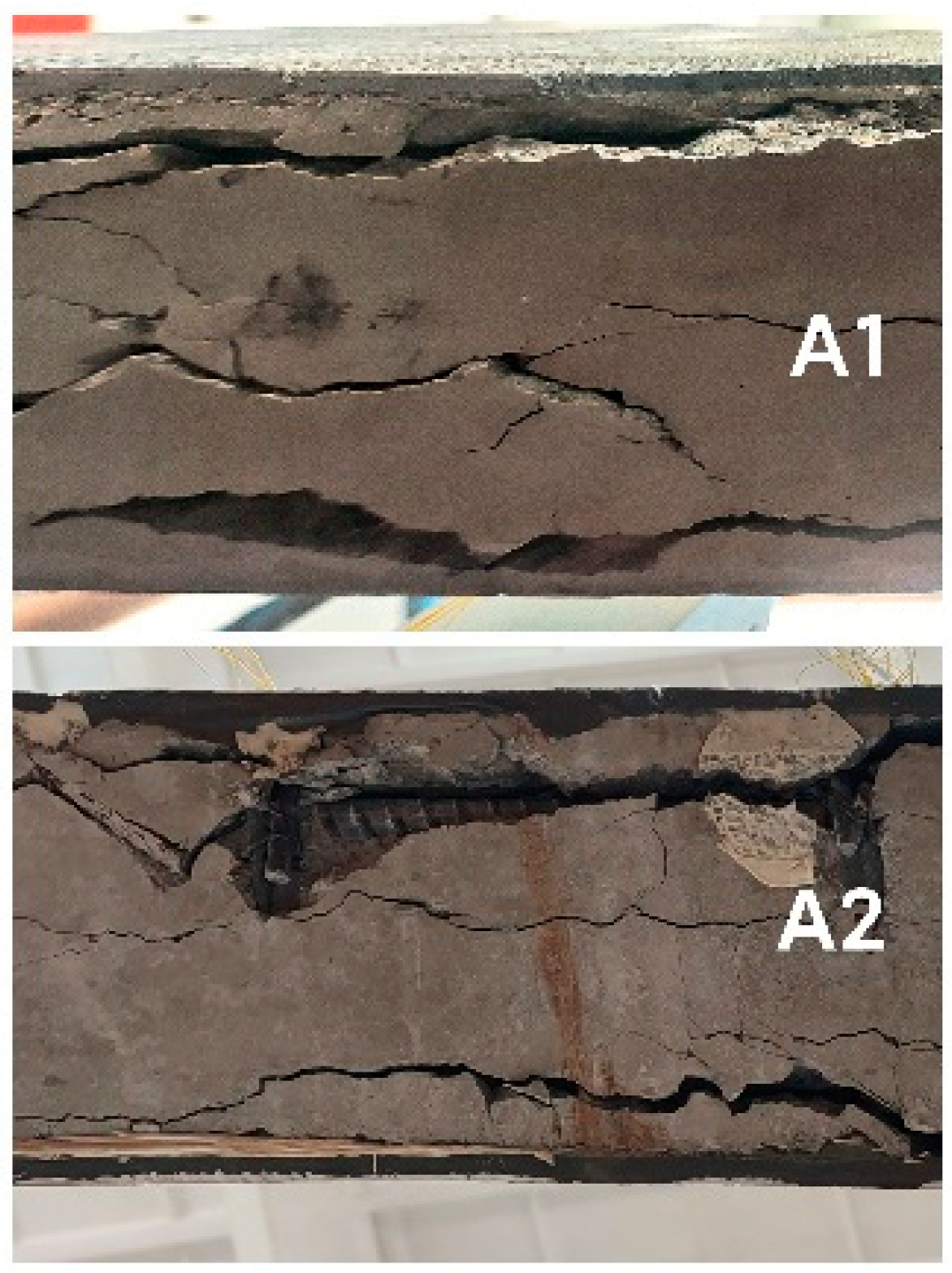 Applsci 15 06266 g008