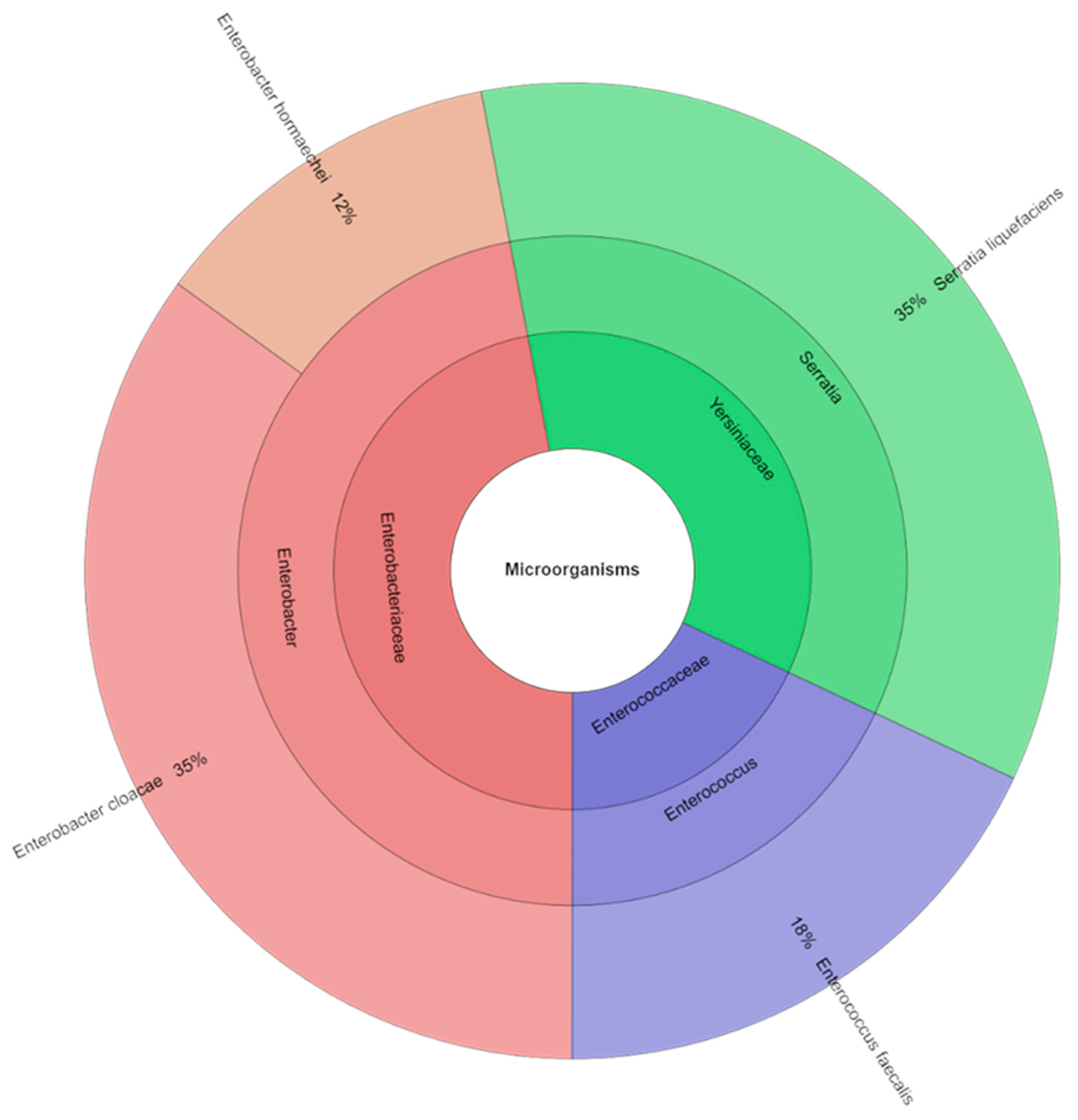 Applsci 15 06271 g002