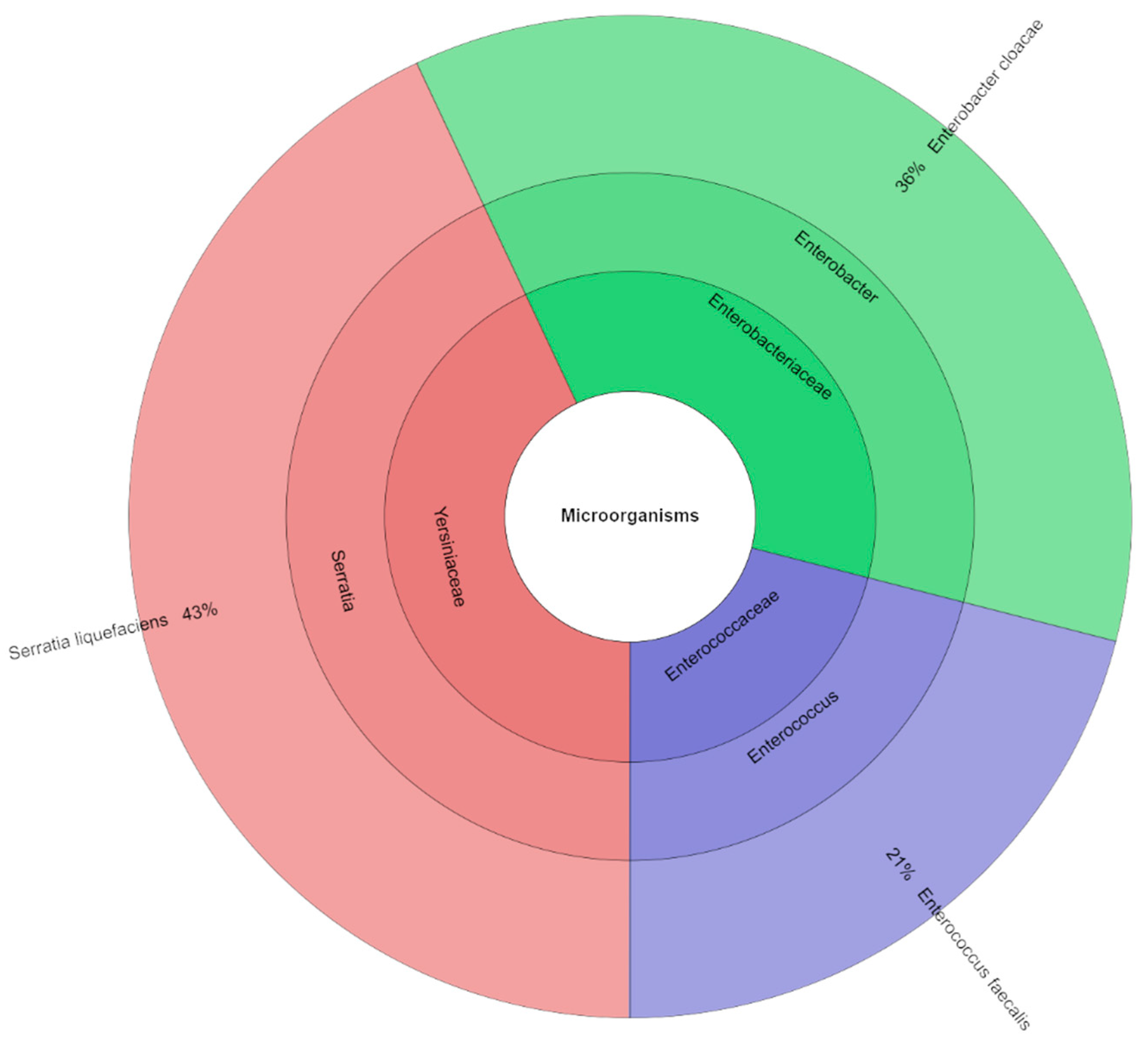 Applsci 15 06271 g005