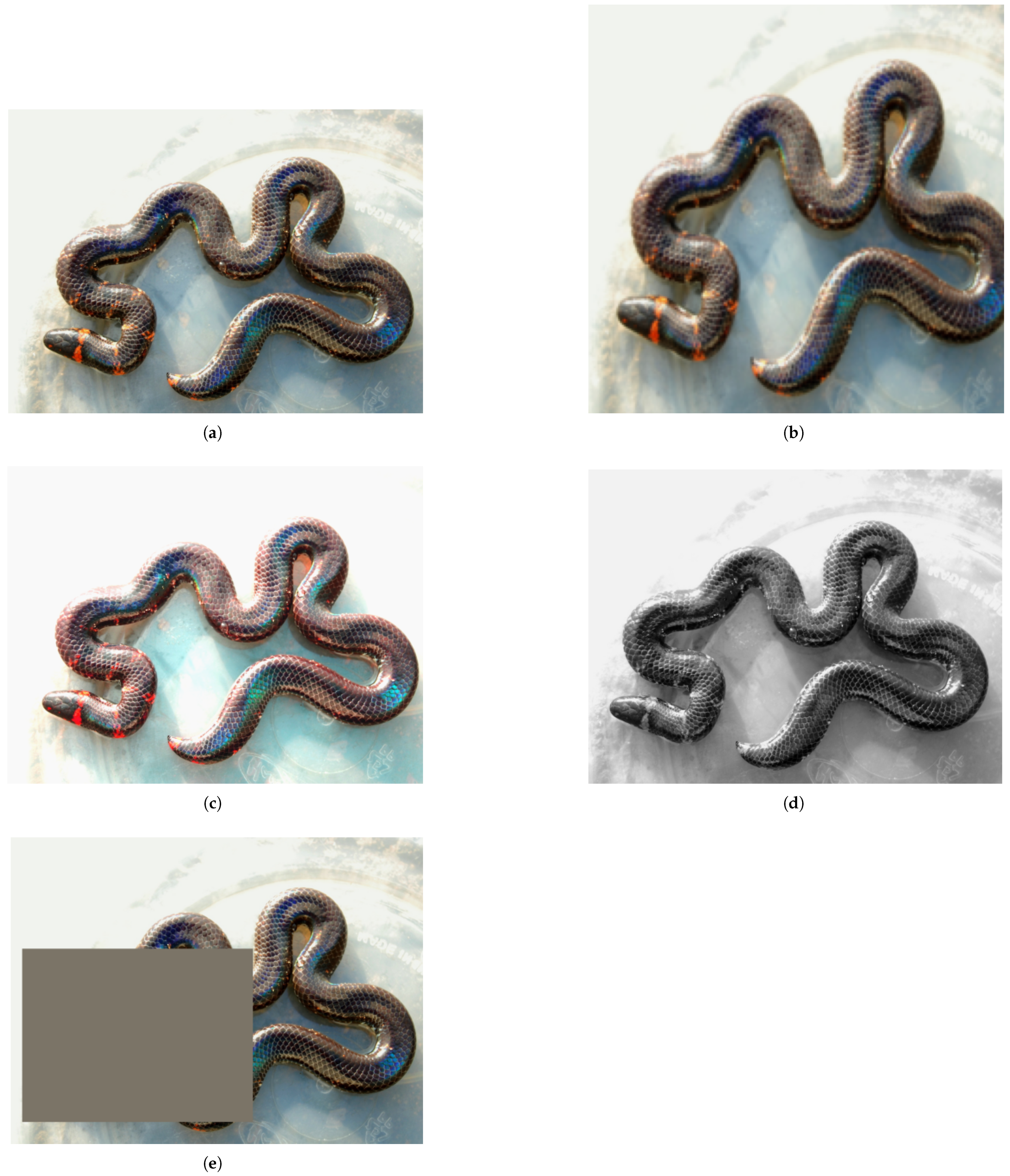 Applsci 15 06290 g001