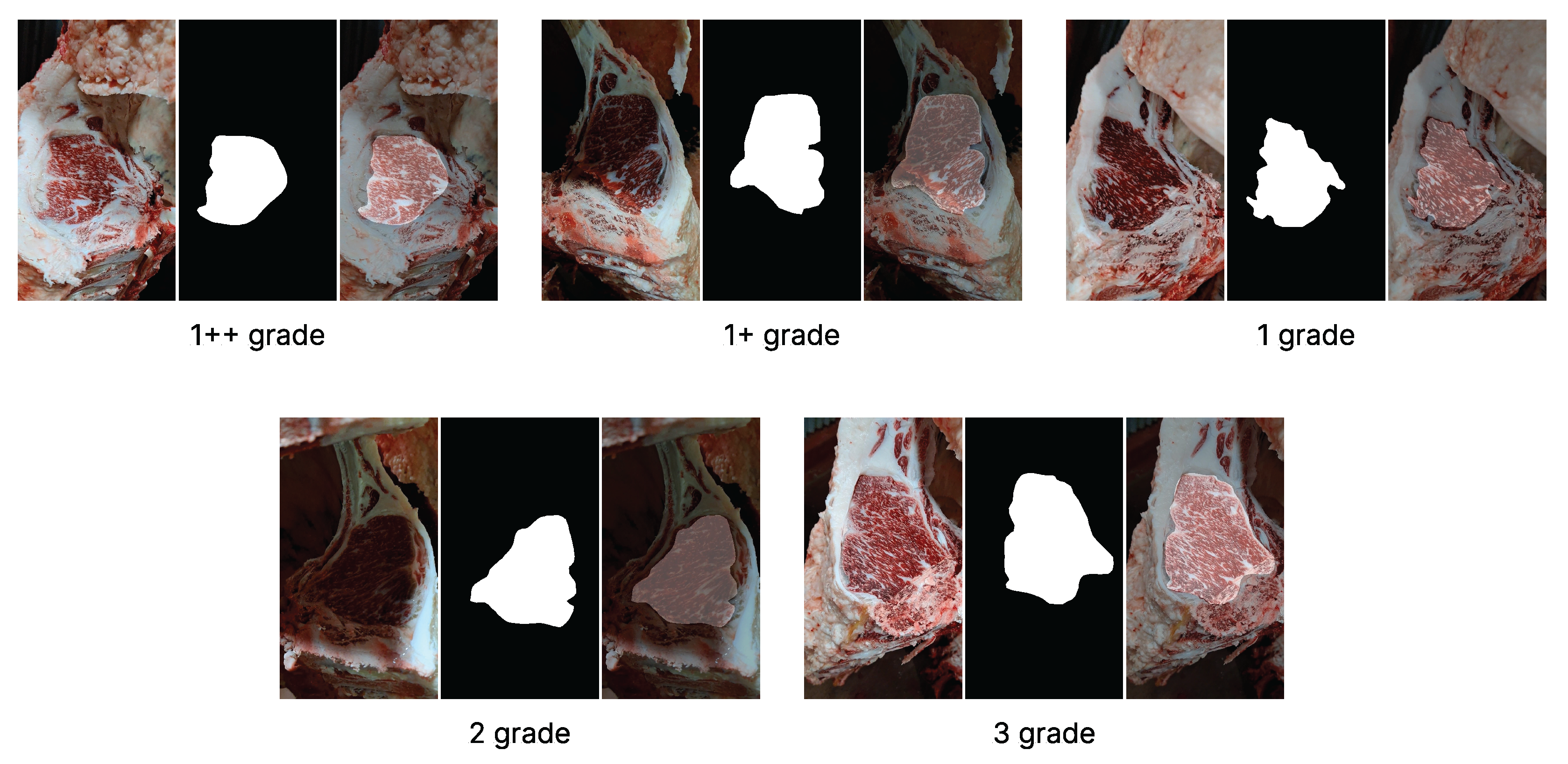 Applsci 15 06302 g001