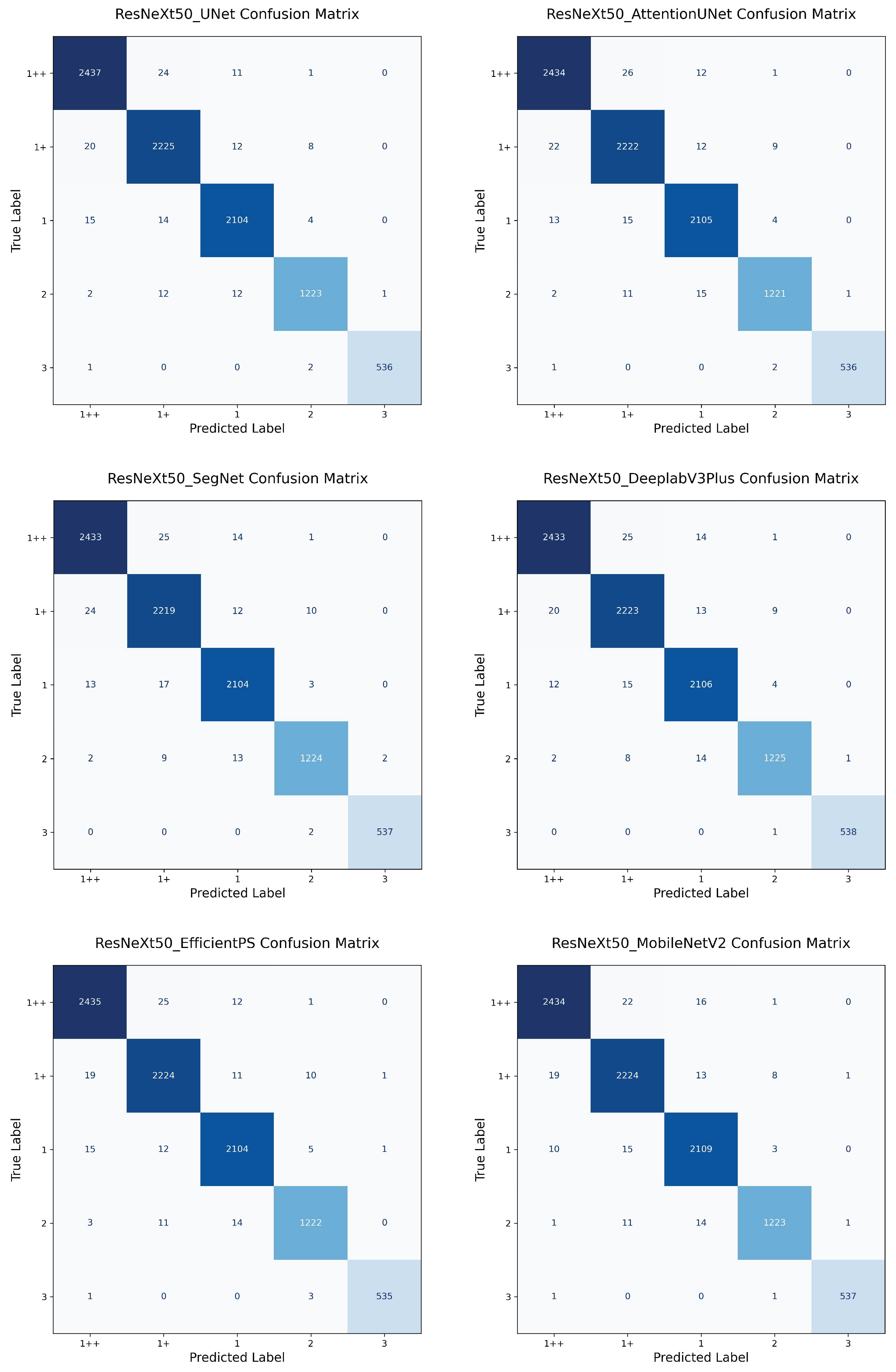 Applsci 15 06302 g0a1