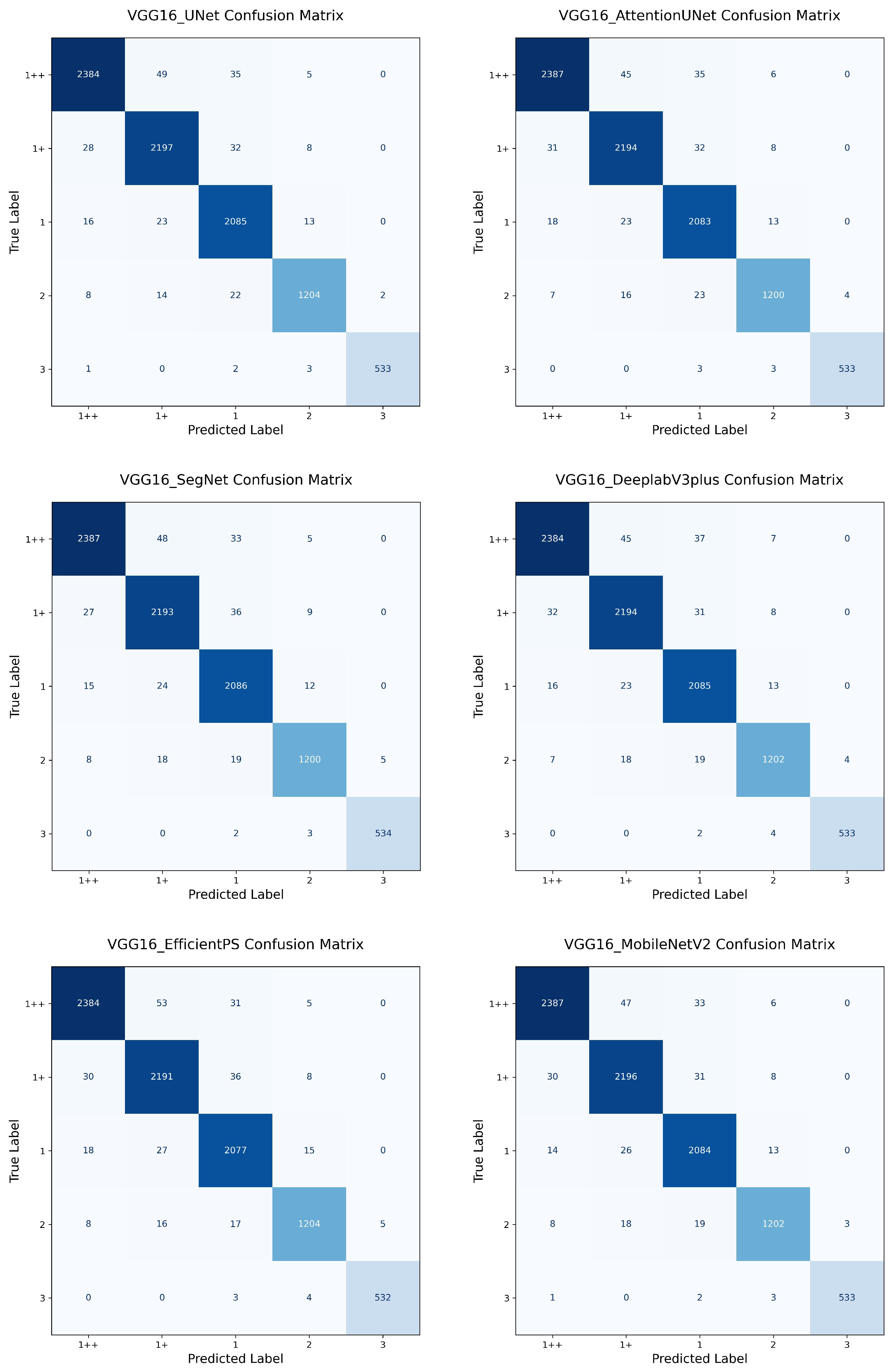 Applsci 15 06302 g0a3