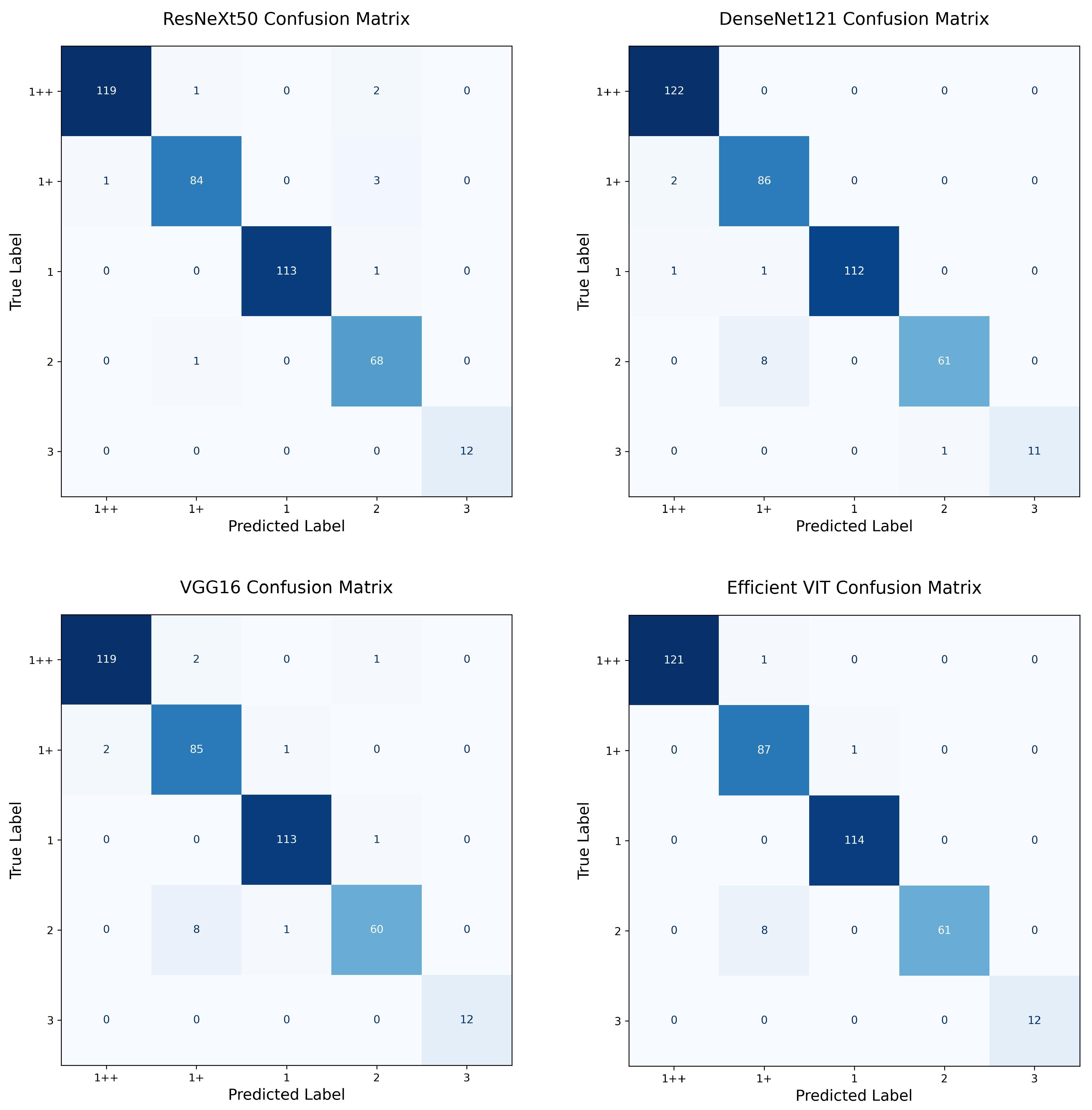 Applsci 15 06302 g0a5