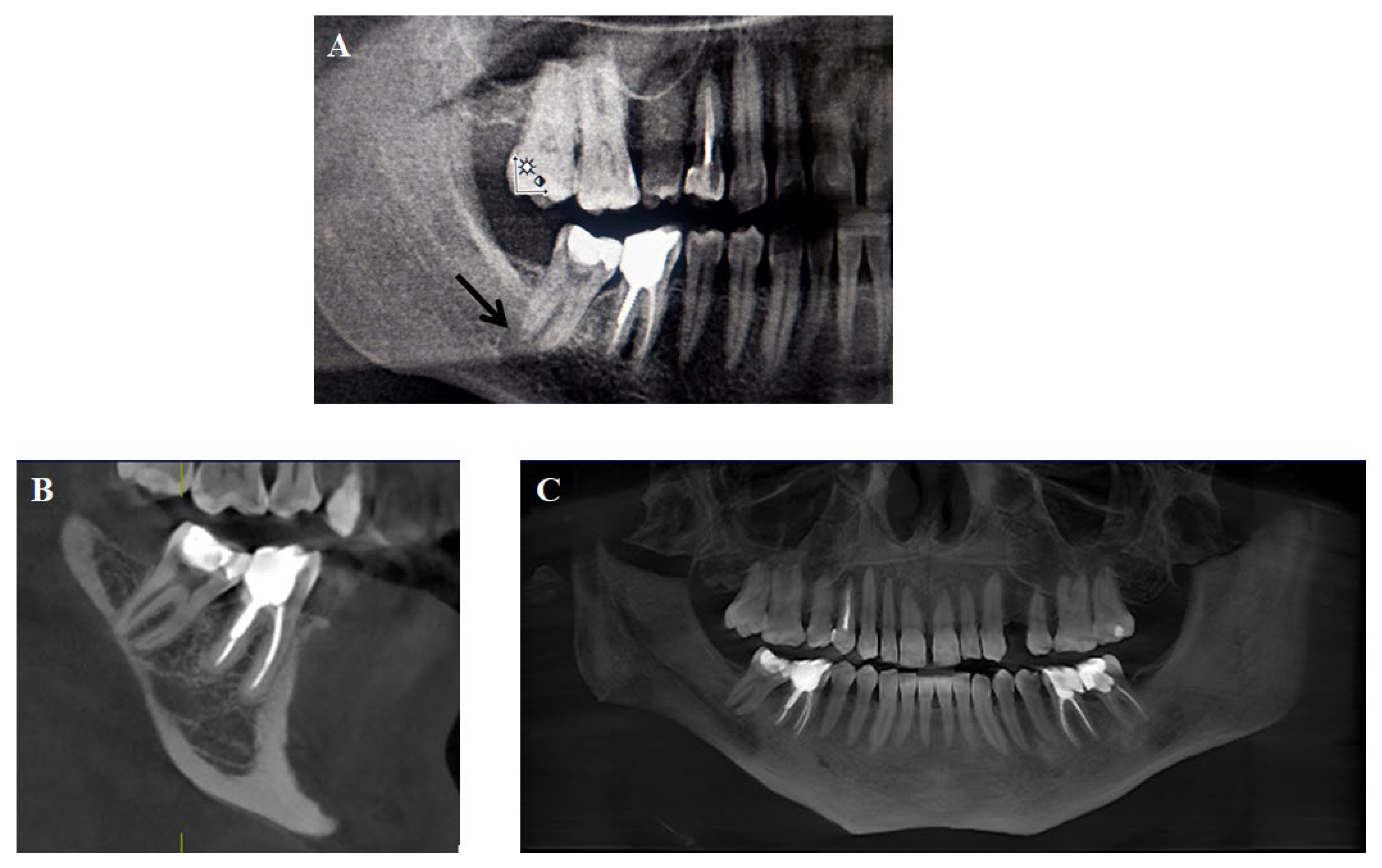 Applsci 15 06308 g002