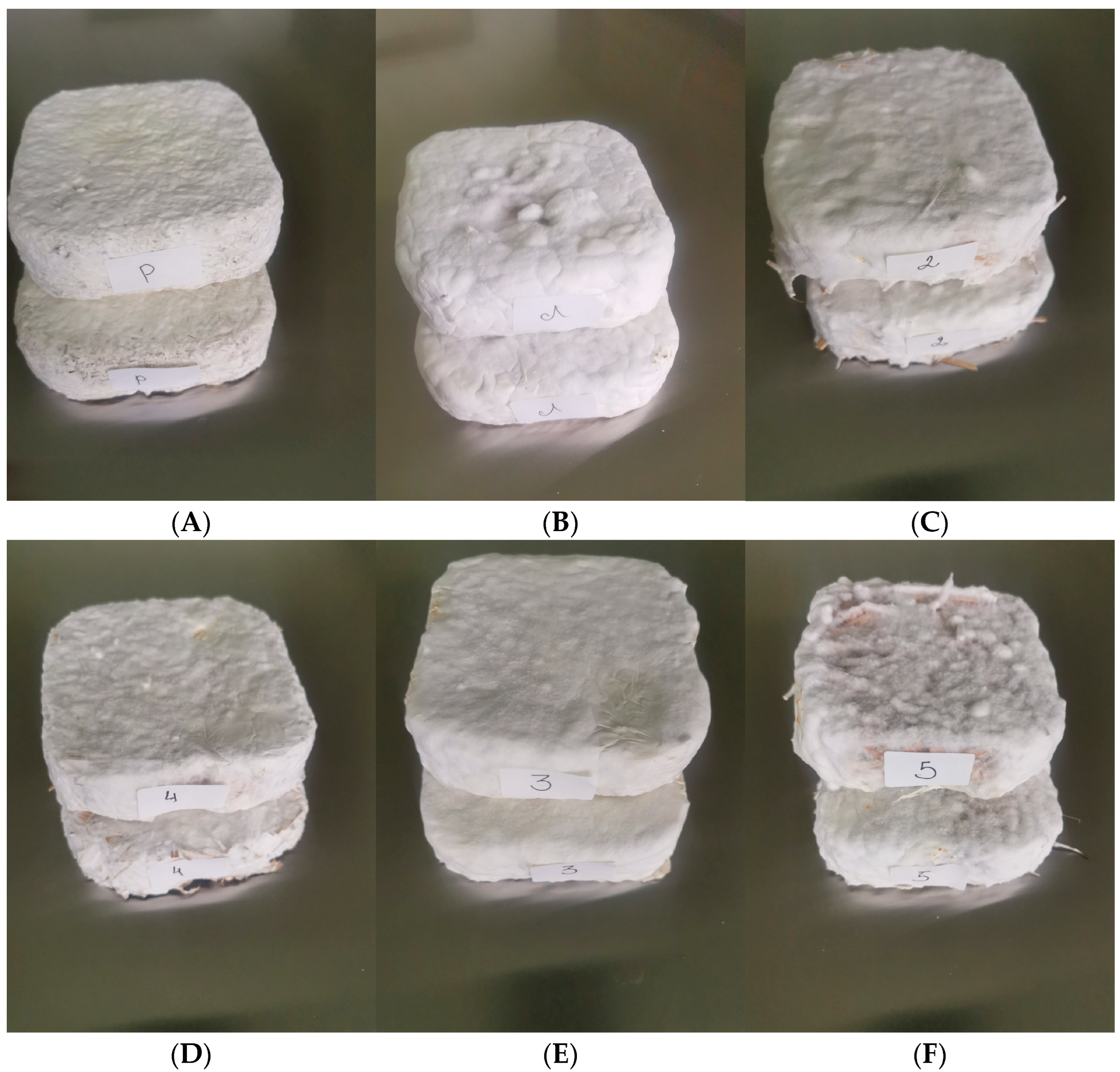 Applsci 15 06333 g002