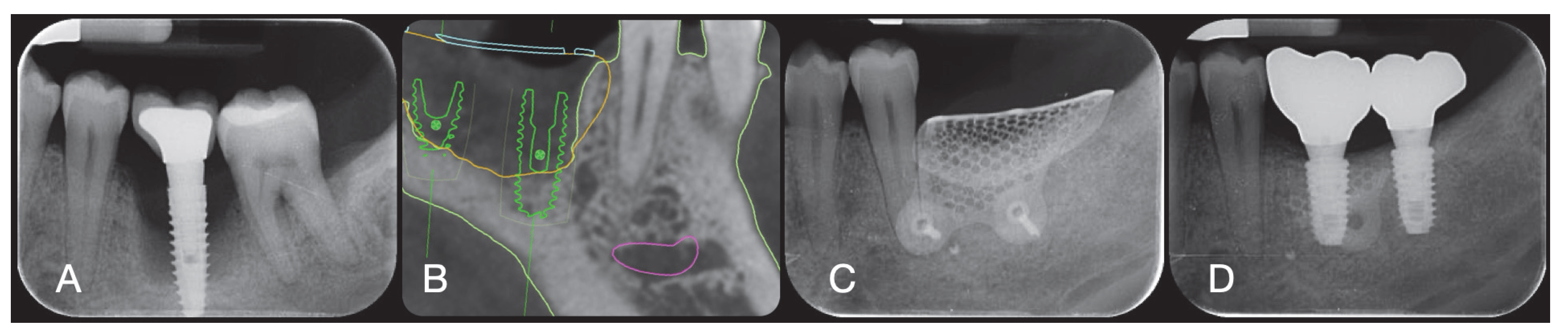 Applsci 15 06344 g008