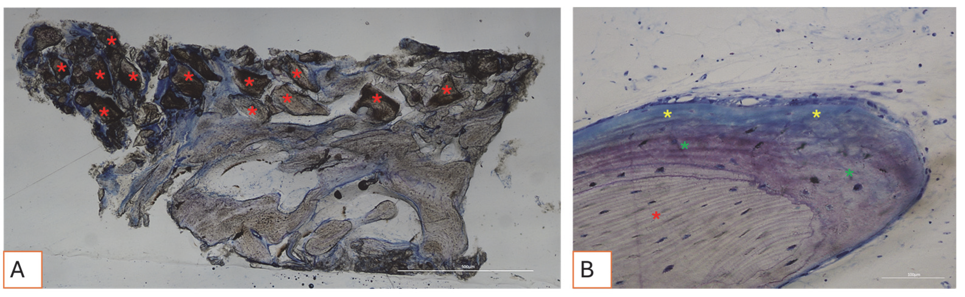 Applsci 15 06344 g009