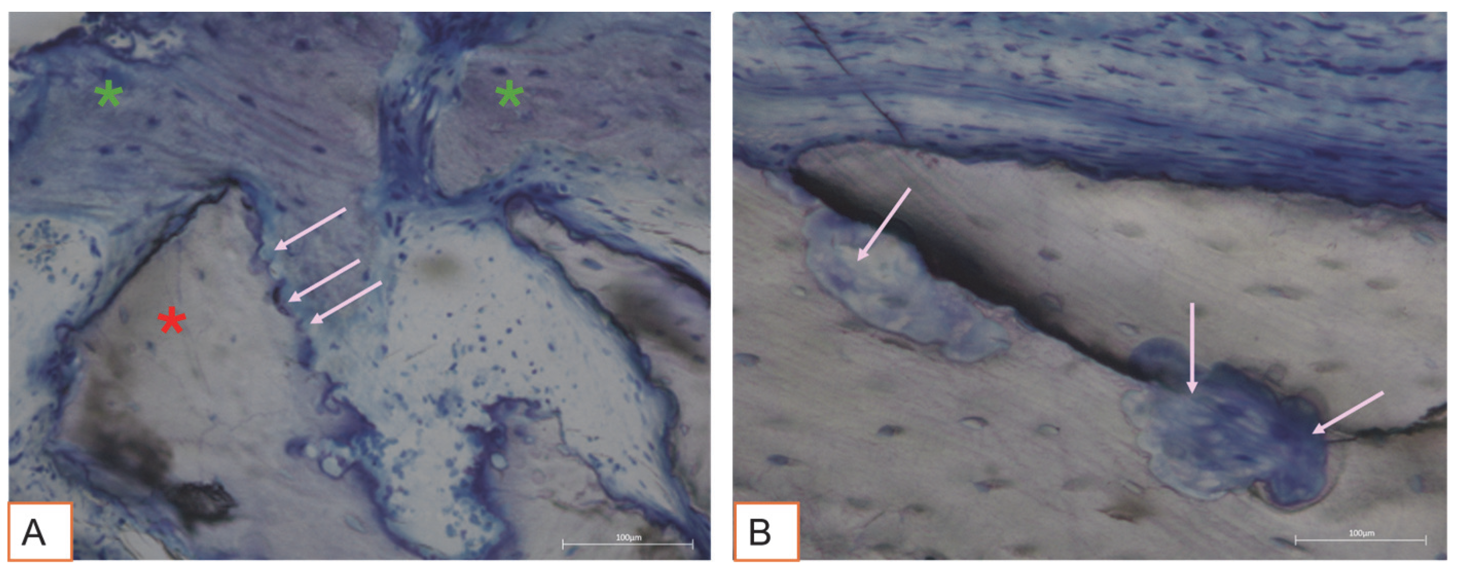 Applsci 15 06344 g010