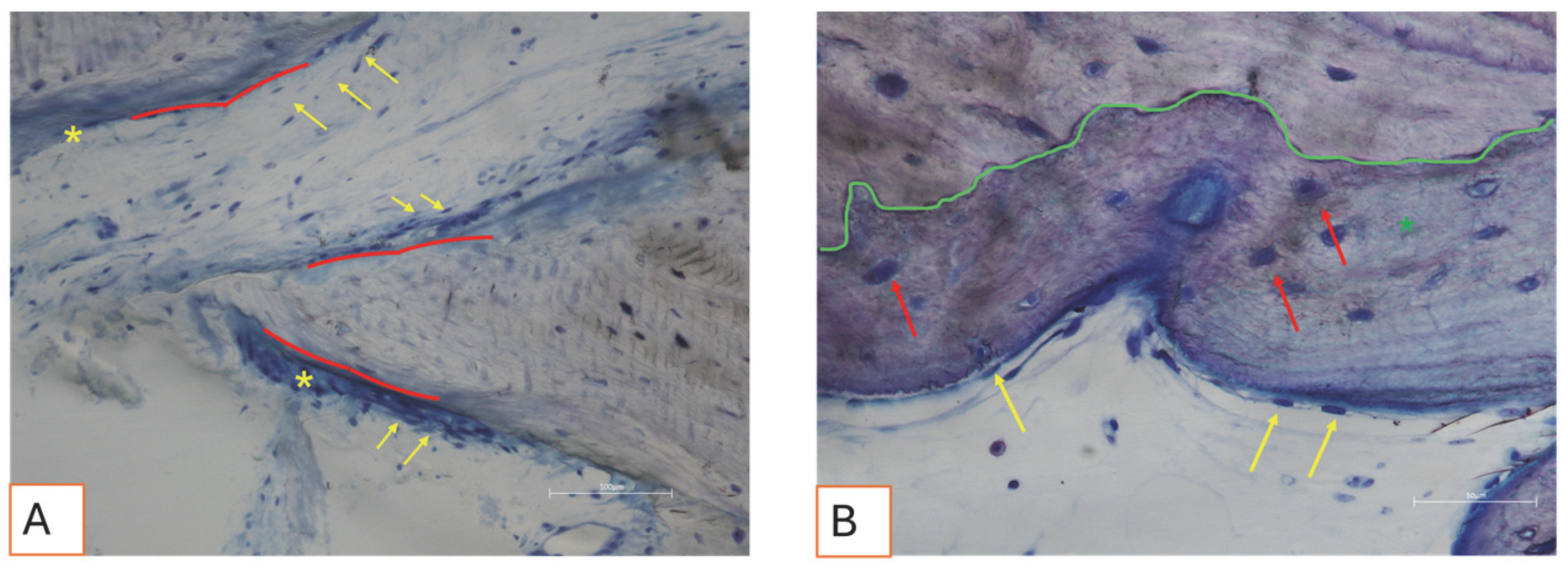 Applsci 15 06344 g011