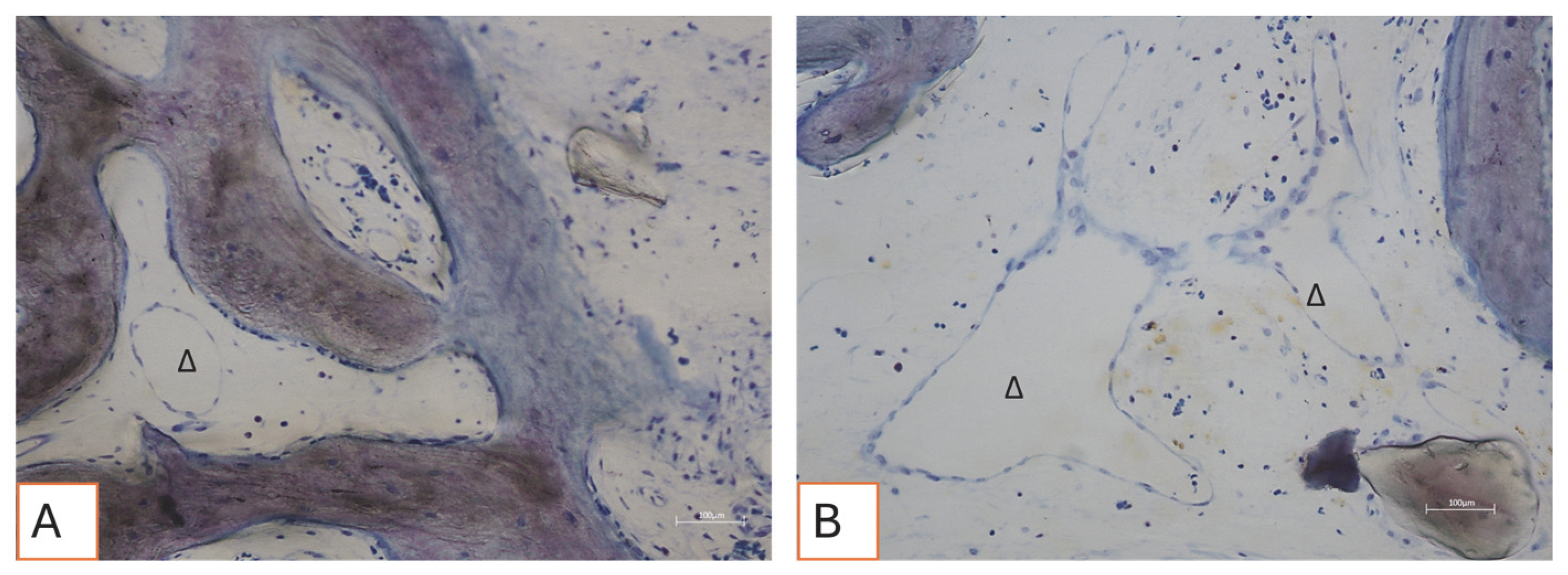 Applsci 15 06344 g012