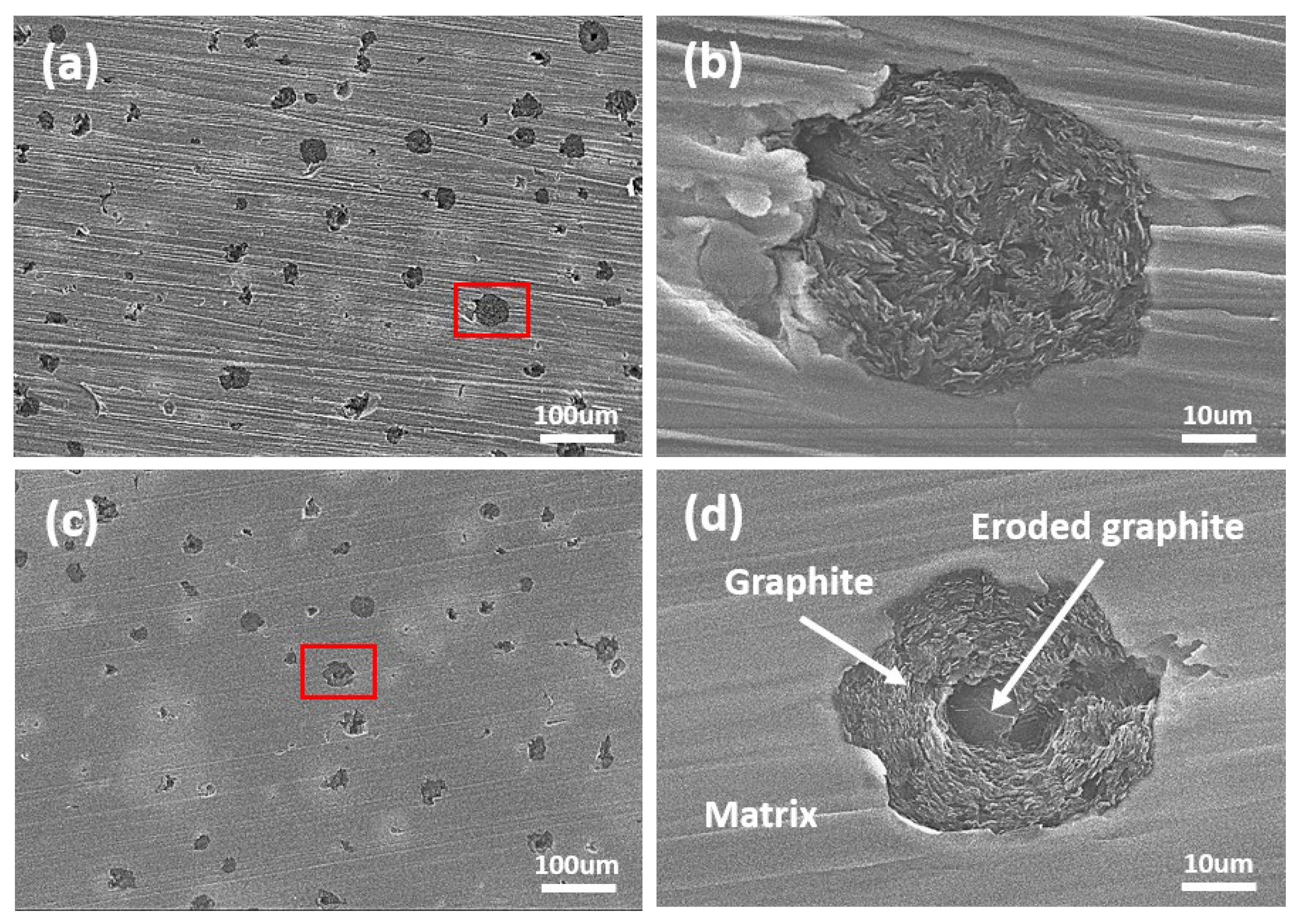 Applsci 15 06353 g005