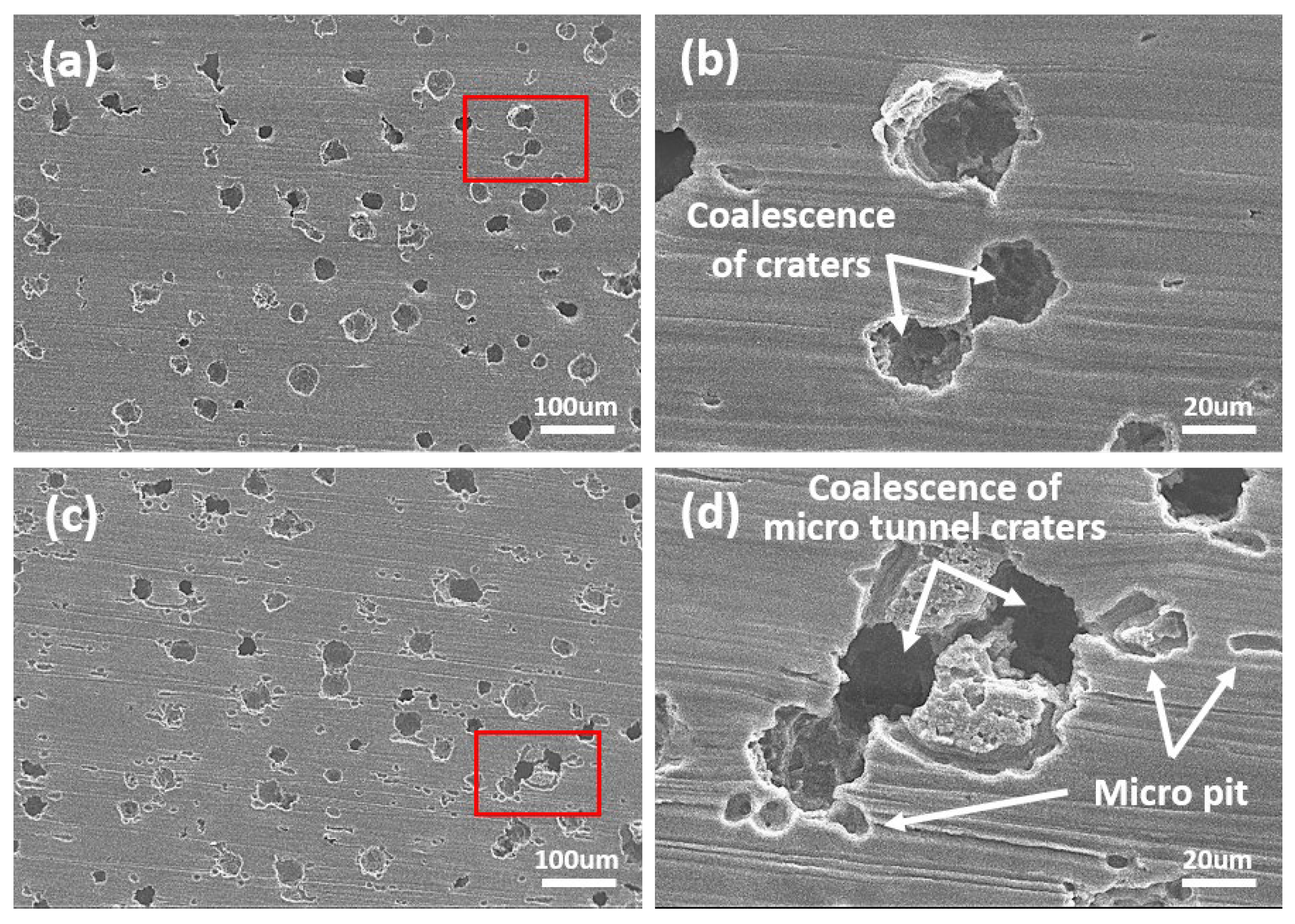 Applsci 15 06353 g007