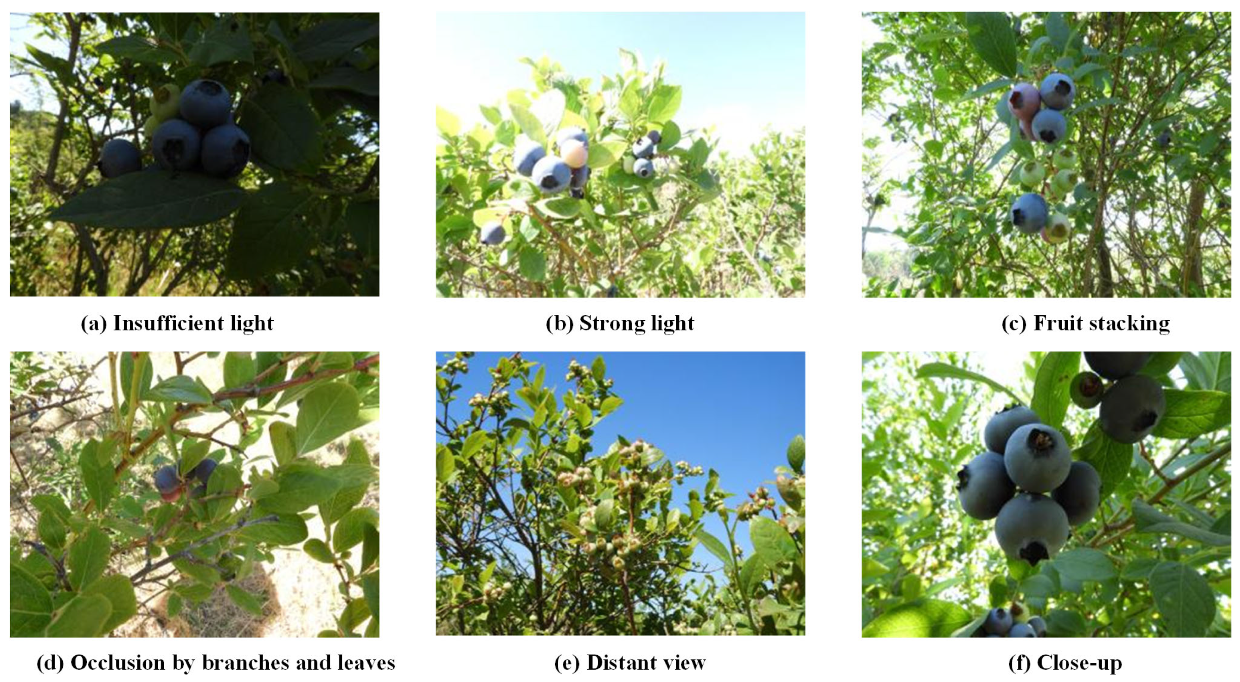 Applsci 15 06356 g006