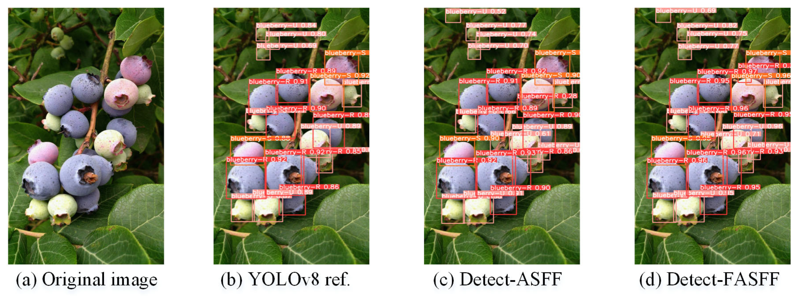 Applsci 15 06356 g008