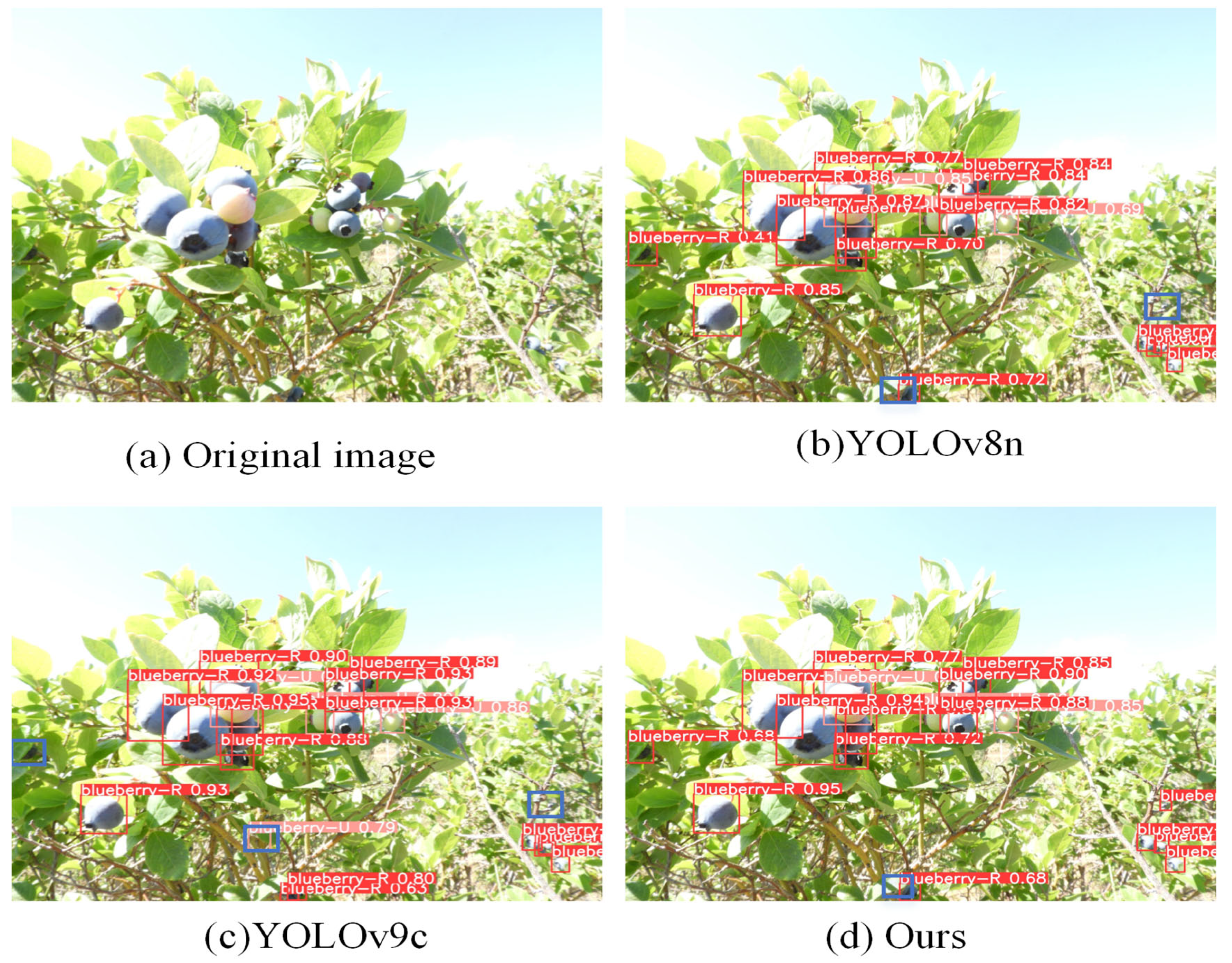 Applsci 15 06356 g011