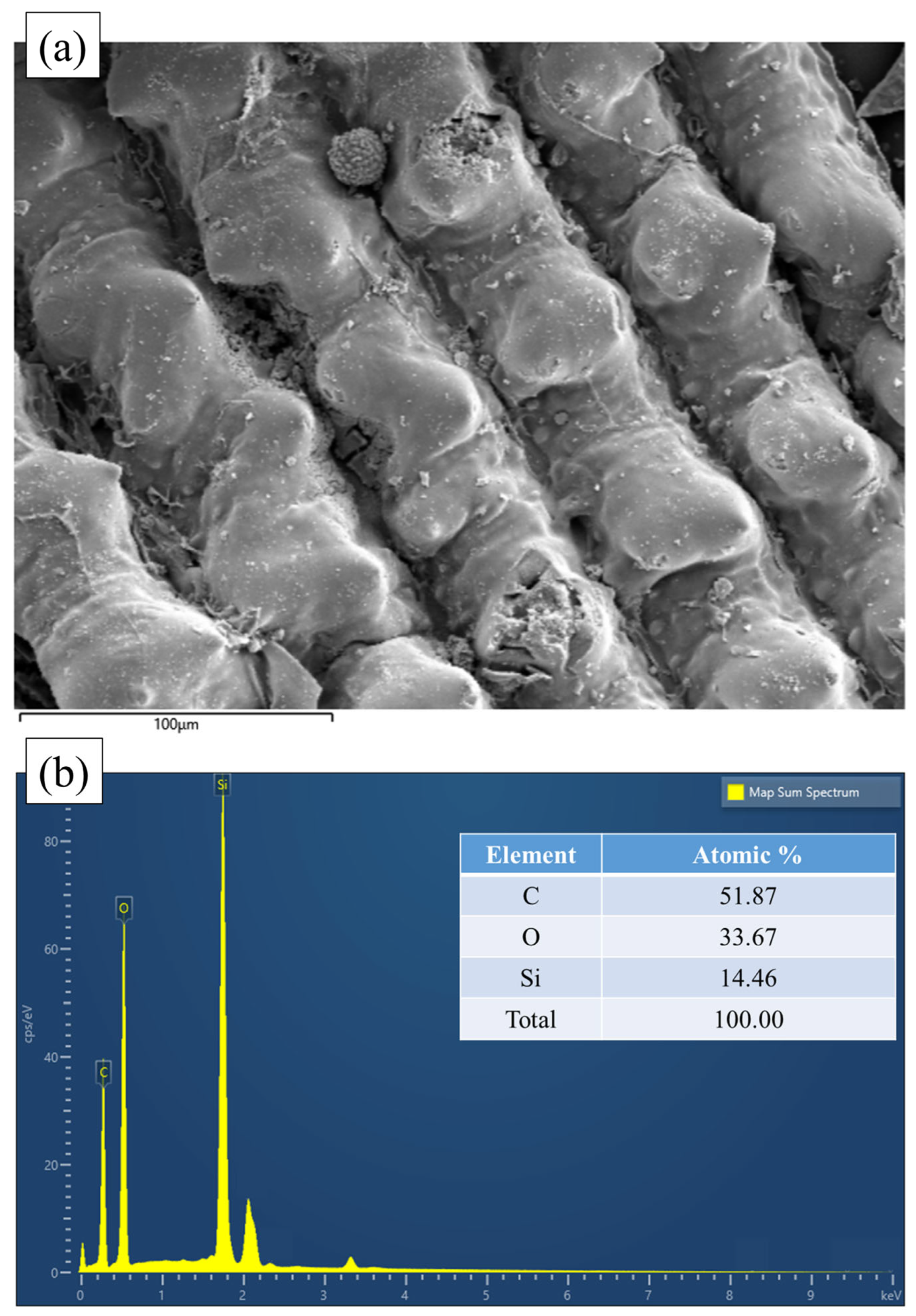 Applsci 15 06361 g007