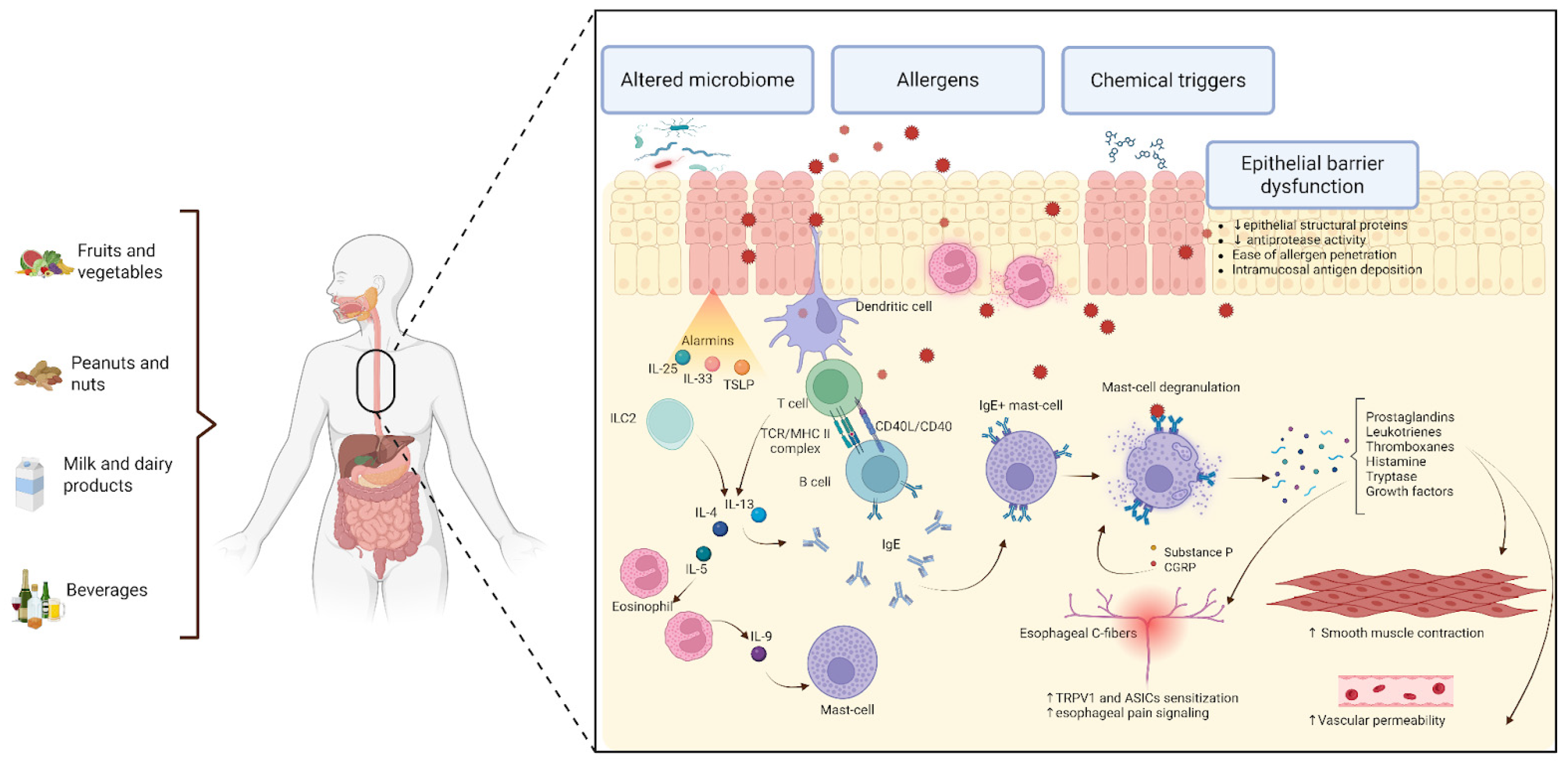 Applsci 15 06375 g003