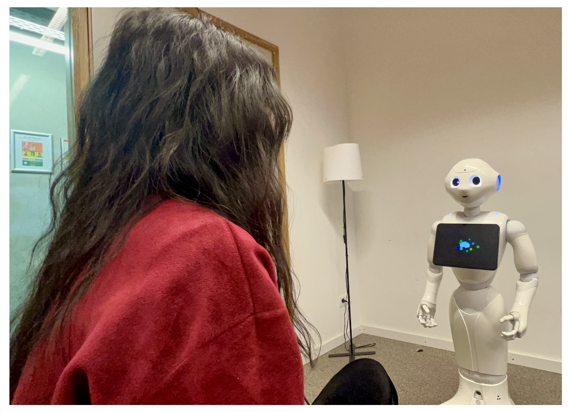 Applsci 15 06377 g002