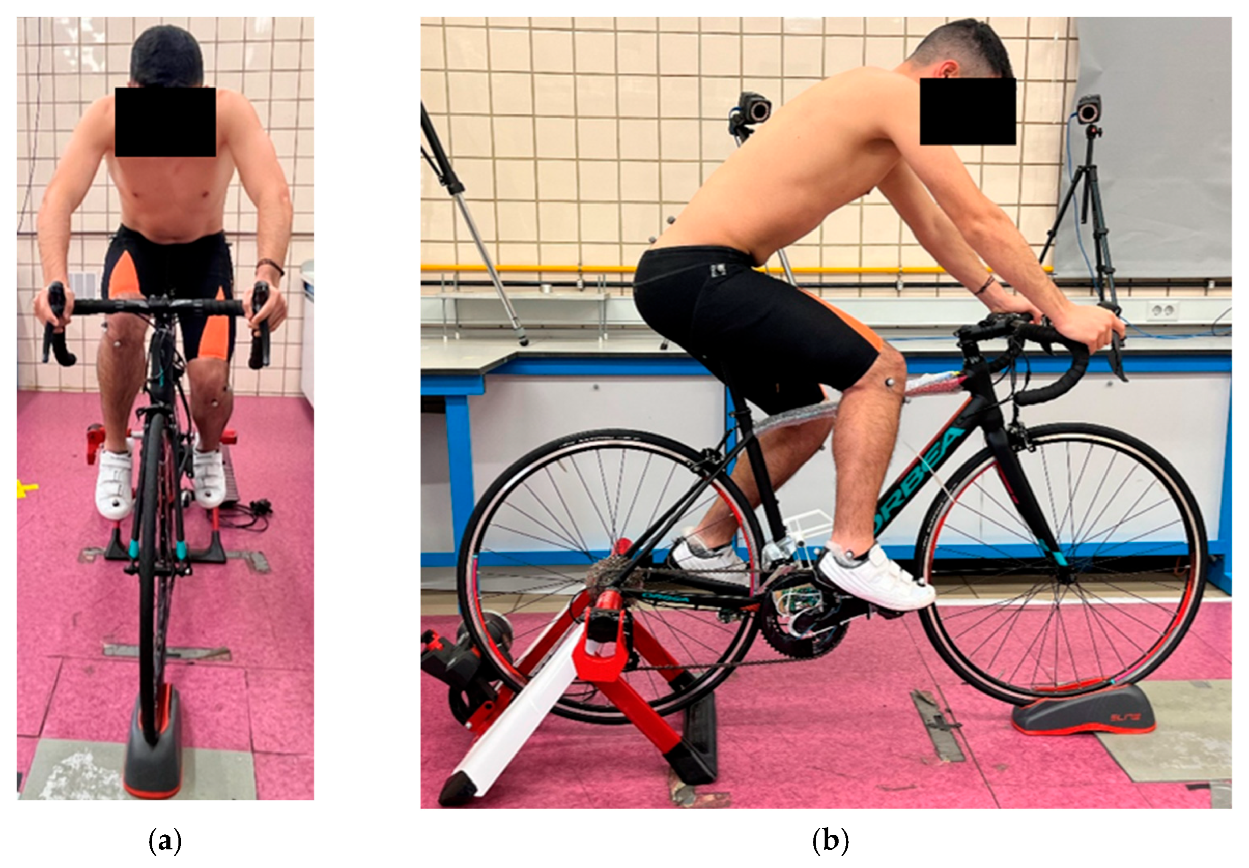 Applsci 15 06382 g002