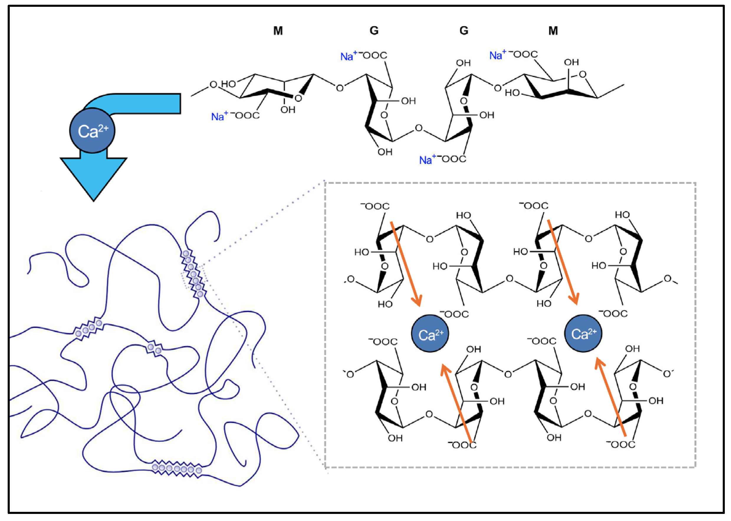 Applsci 15 06385 g001
