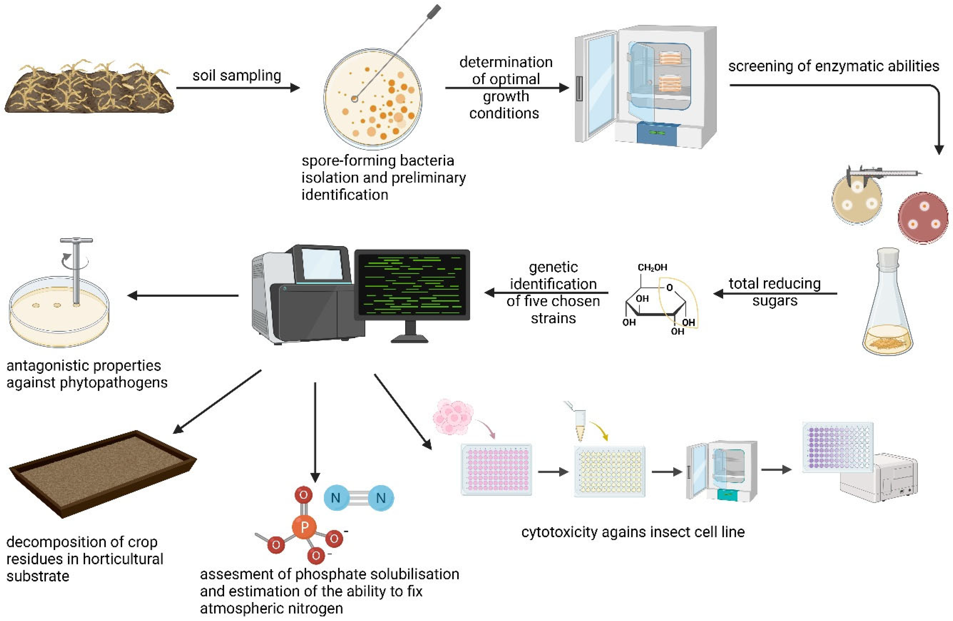 Applsci 15 06400 g001 Applsci 15 06400 g001