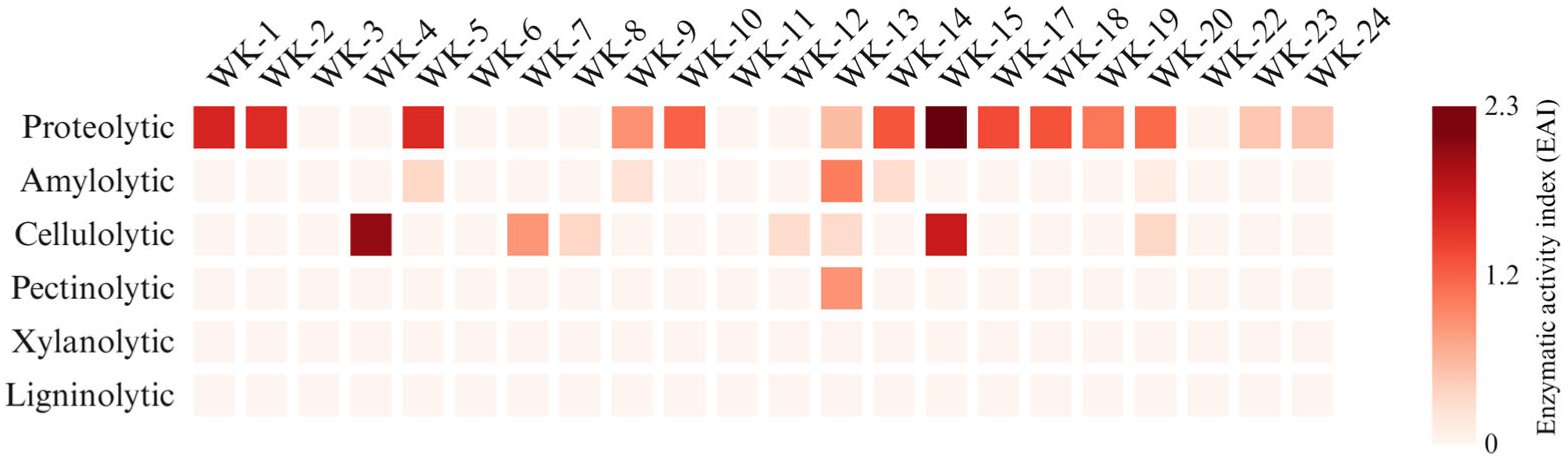 Applsci 15 06400 g002 Applsci 15 06400 g002