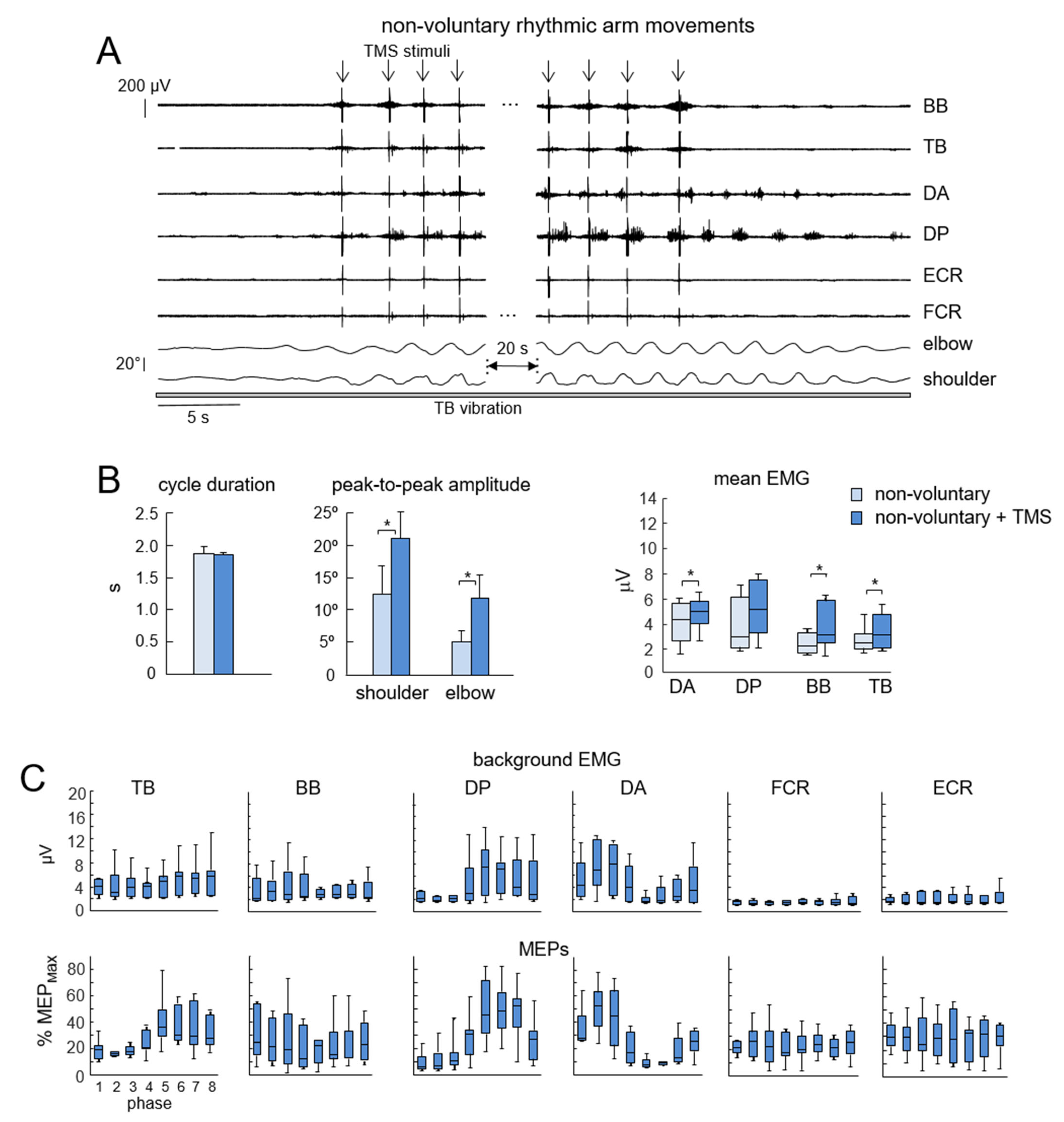 Applsci 15 06413 g003 Applsci 15 06413 g003