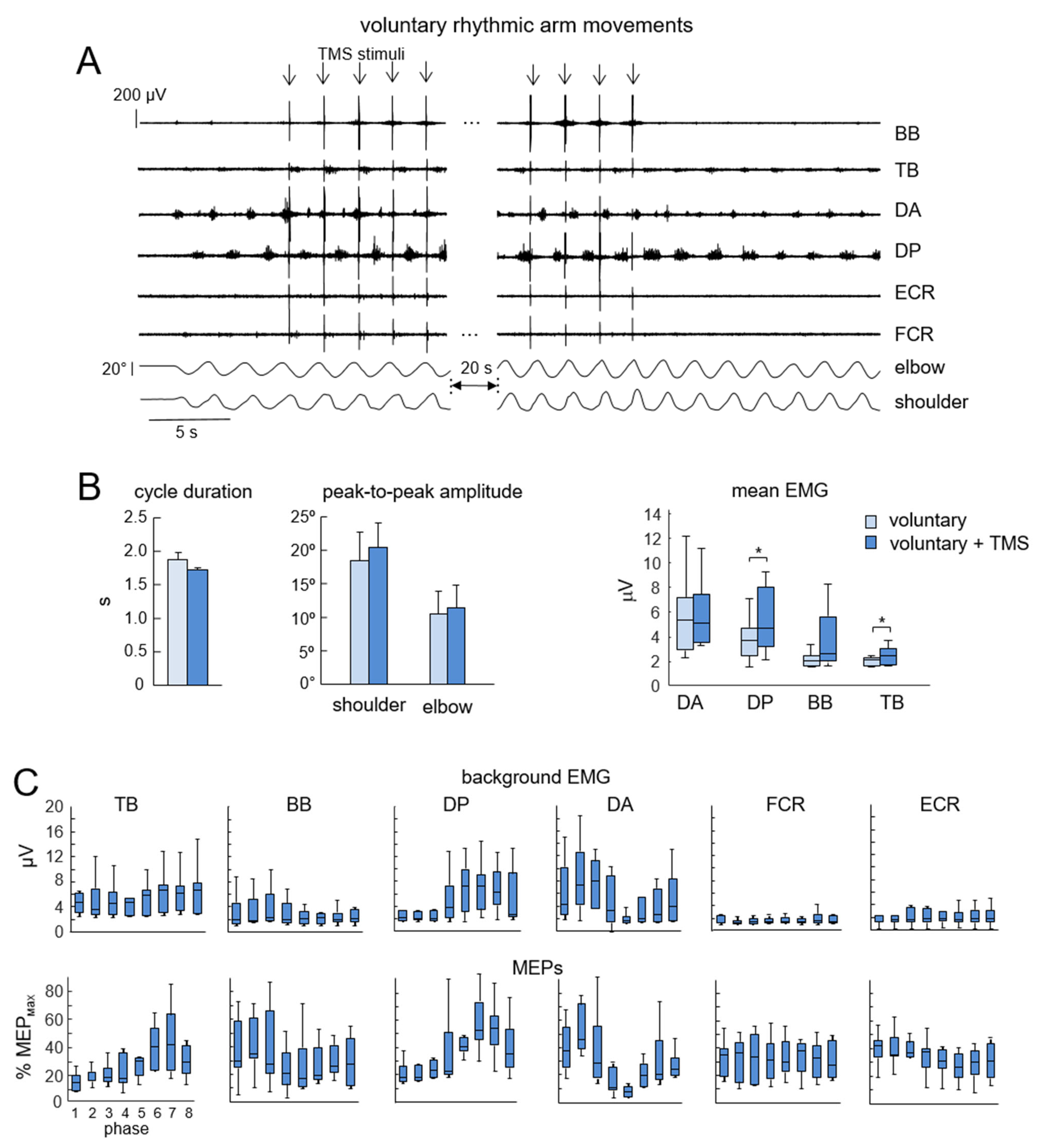 Applsci 15 06413 g004 Applsci 15 06413 g004