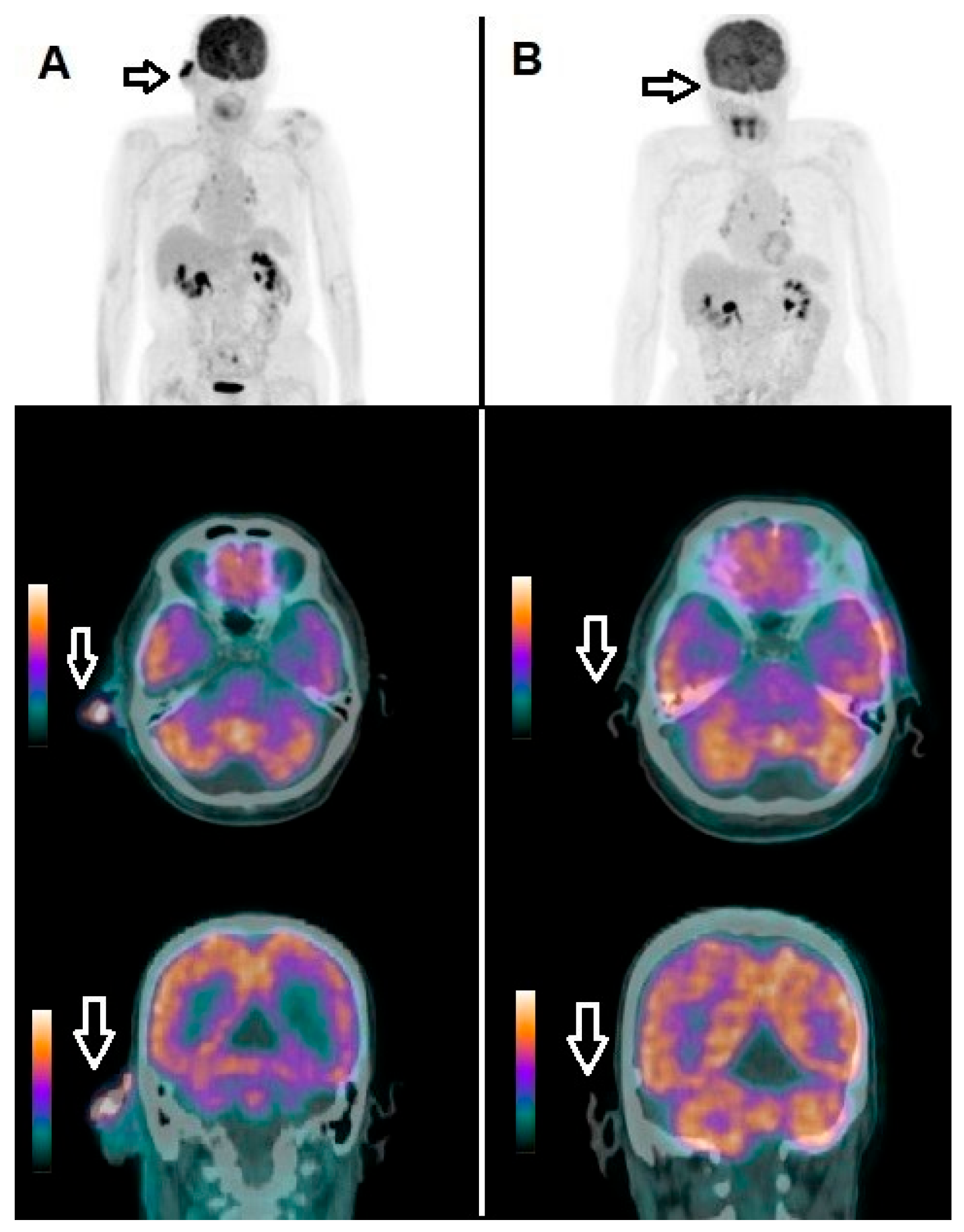 Applsci 15 06453 g001