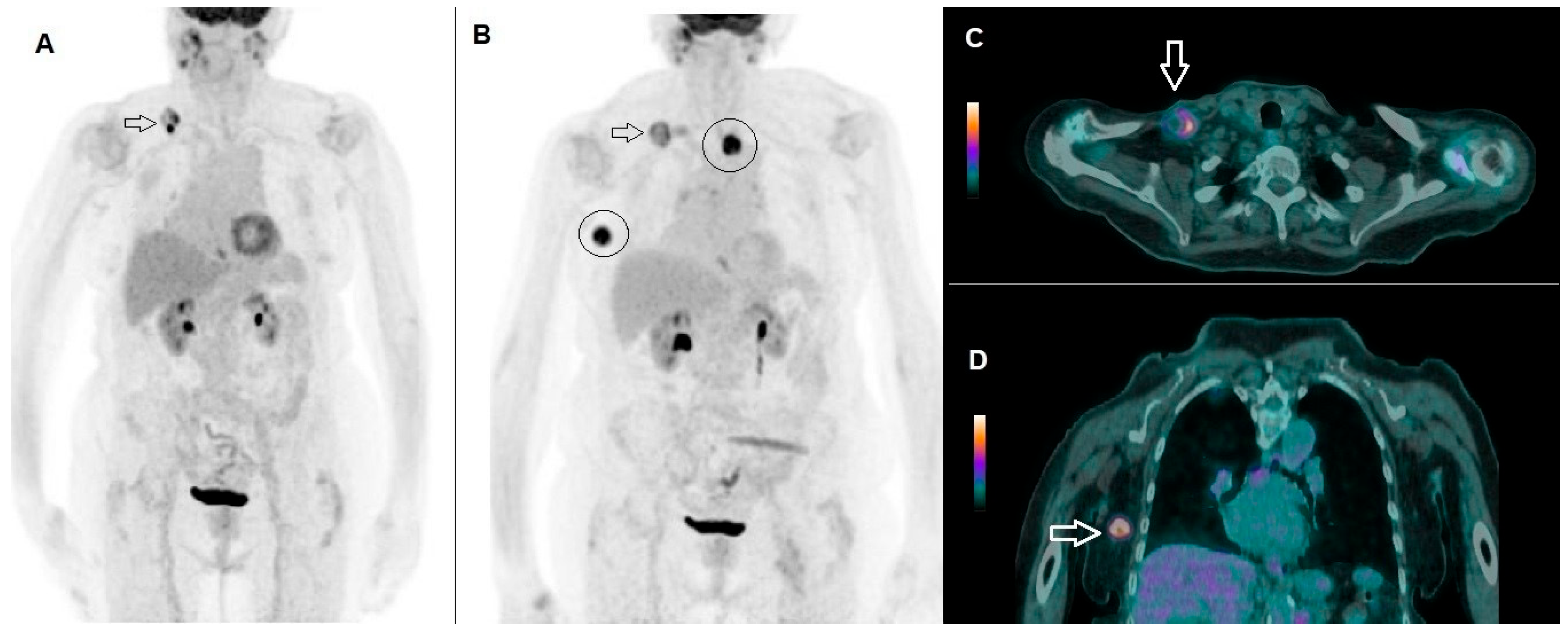 Applsci 15 06453 g002