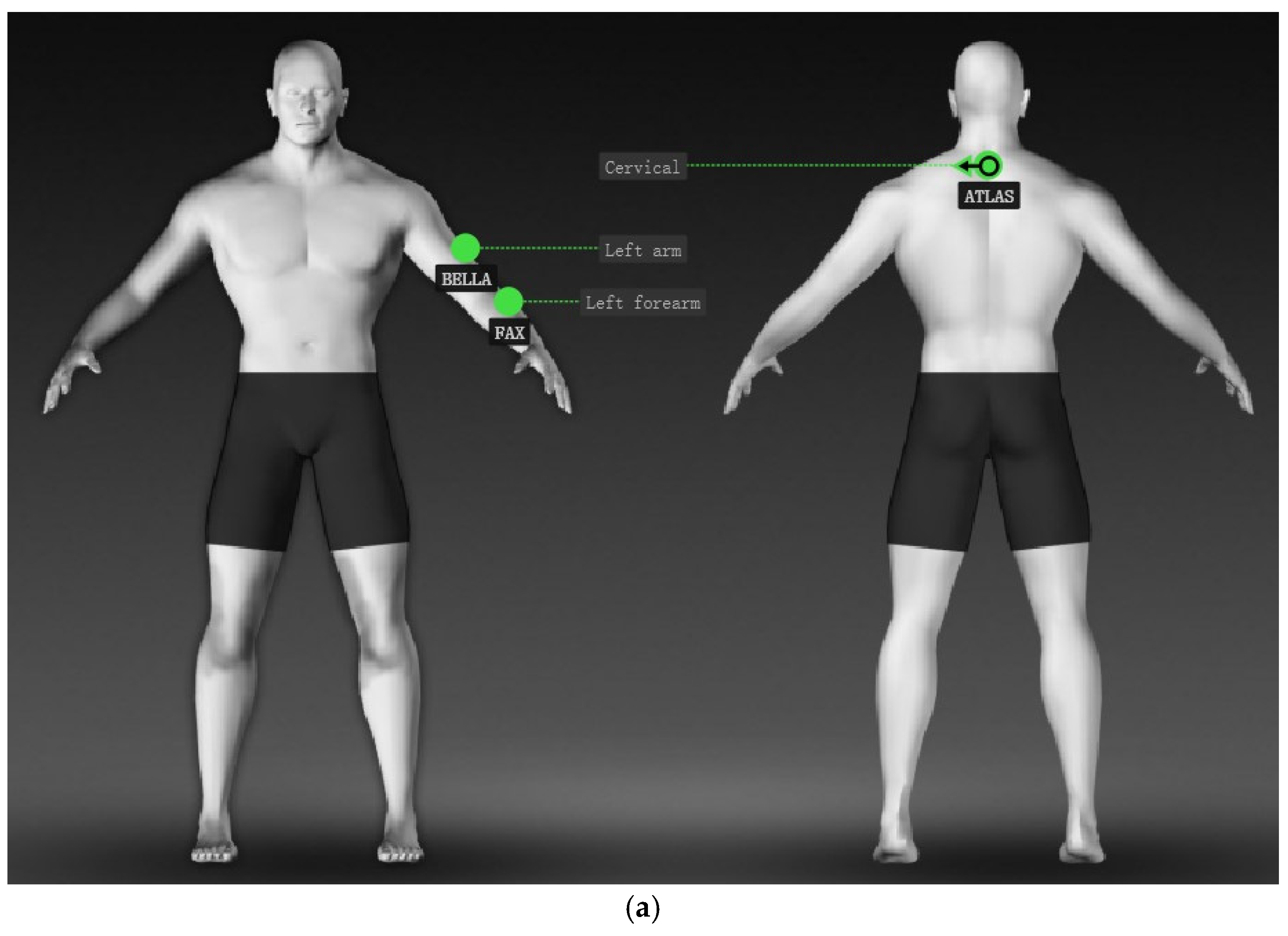 Applsci 15 06454 g007a